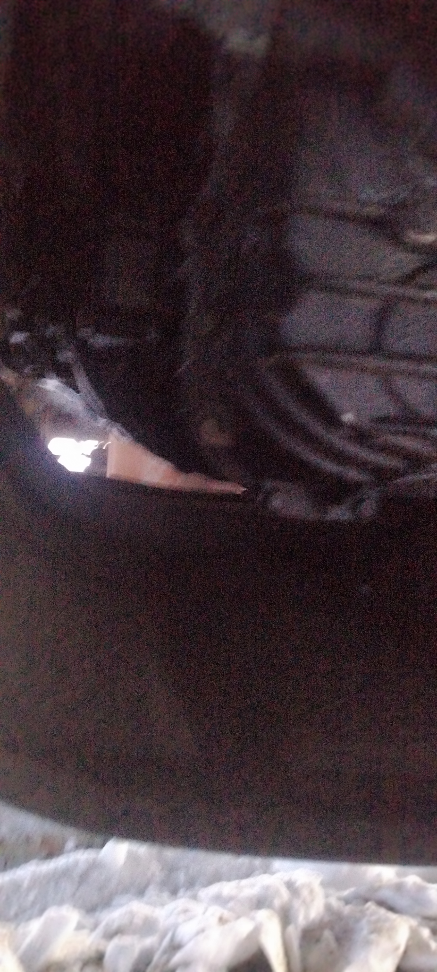 GAZ GAZON NEXT Бортовой (Евроборт) 2019 г. - фото 17