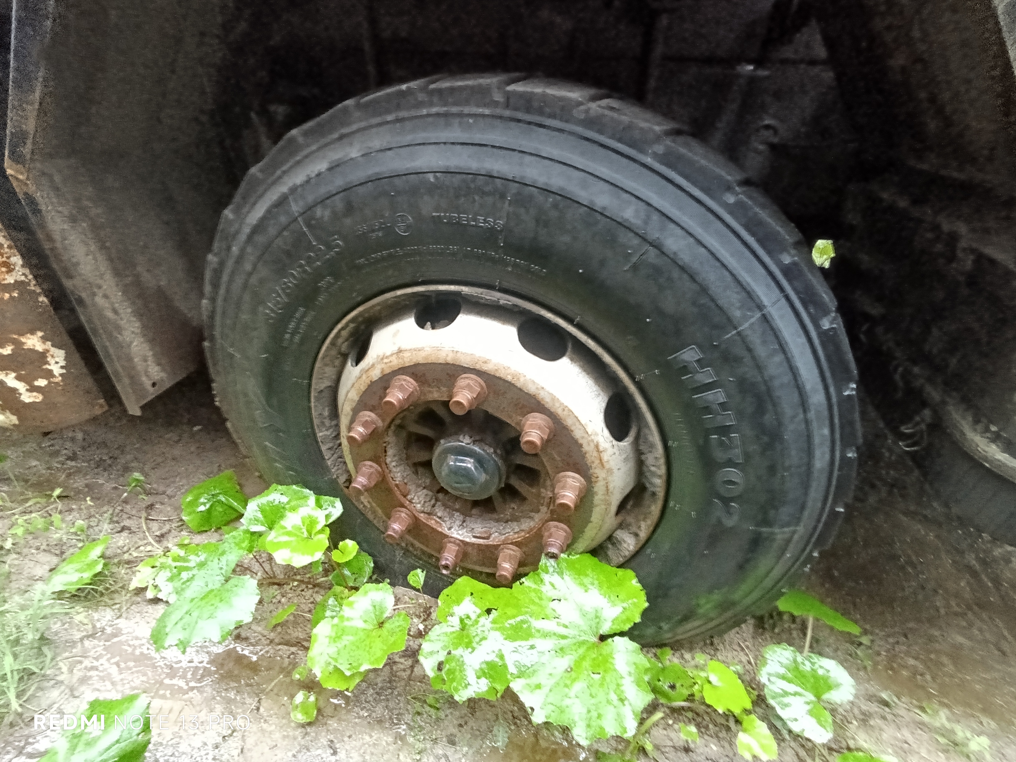 Shacman (Shaanxi) SX* 8x4 Самосвал 2022 г. - фото 6