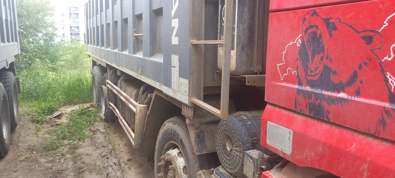 Shacman (Shaanxi) SX* 8x4 Самосвал 2021 г. - фото 3