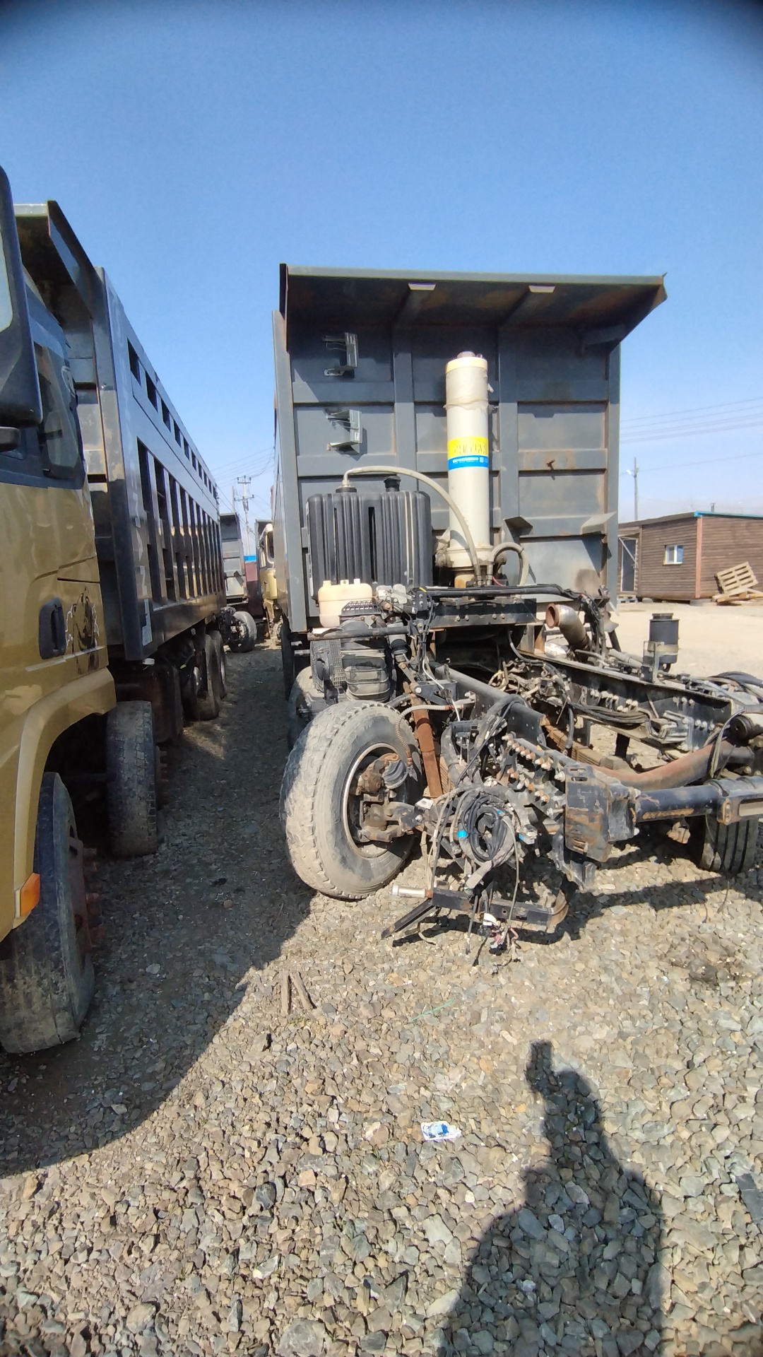 Shacman (Shaanxi) SX* 8x4 Самосвал 2022 г. - фото 2