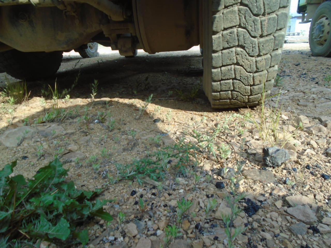 Shacman (Shaanxi) SX* 6x6 Самосвал 2023 г. - фото 9