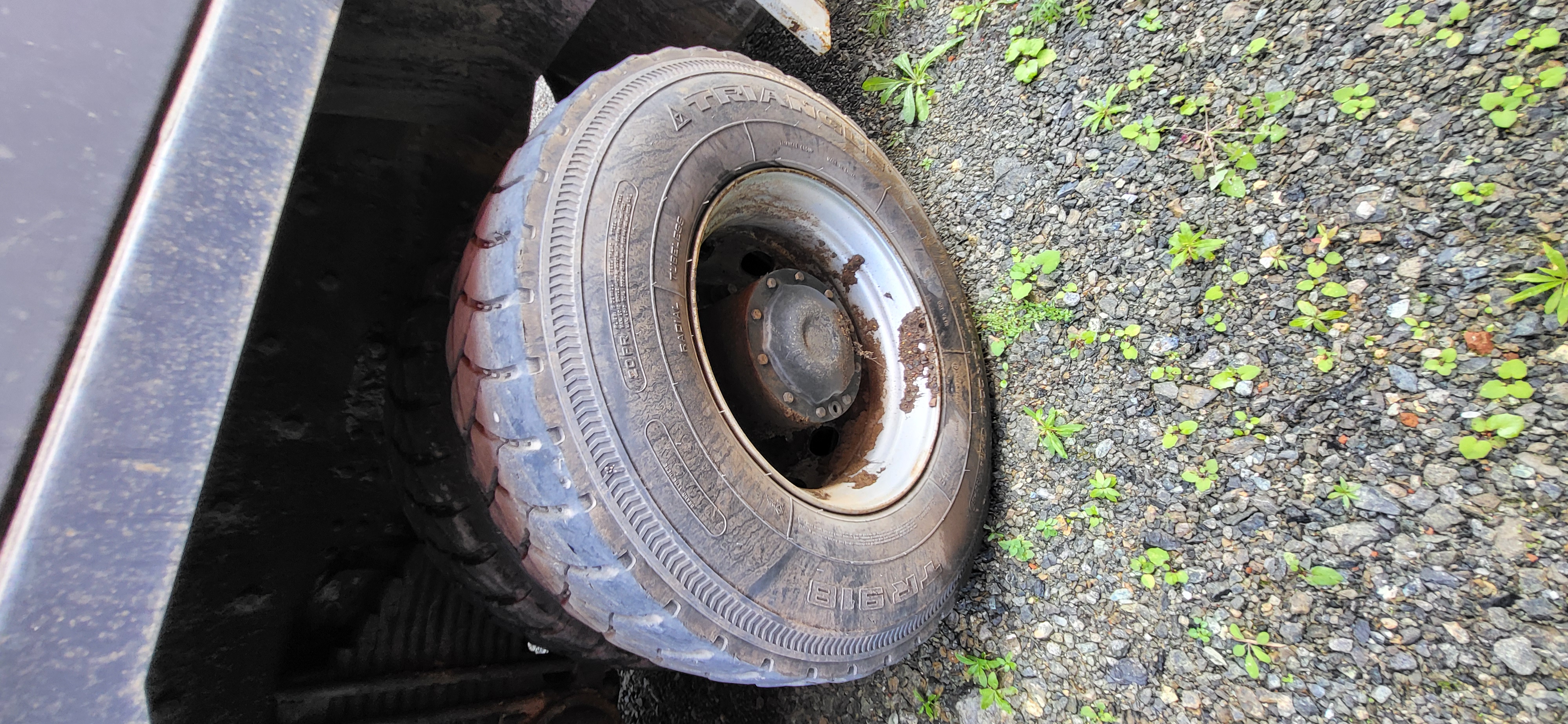 Shacman (Shaanxi) SX* 8x4 Самосвал 2022 г. - фото 12