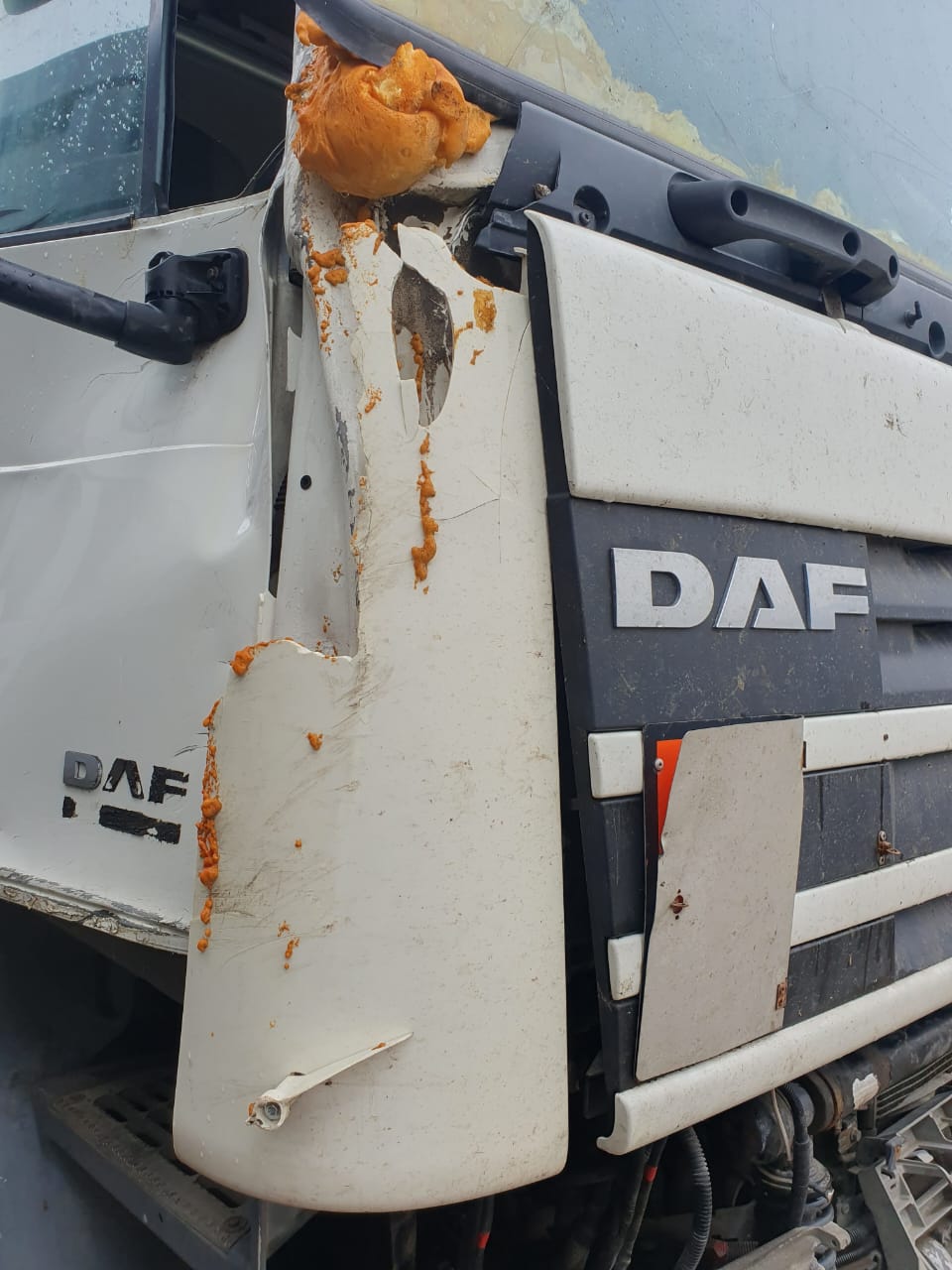 DAF XF 4x2 Седельный тягач 2020 г. - фото 17