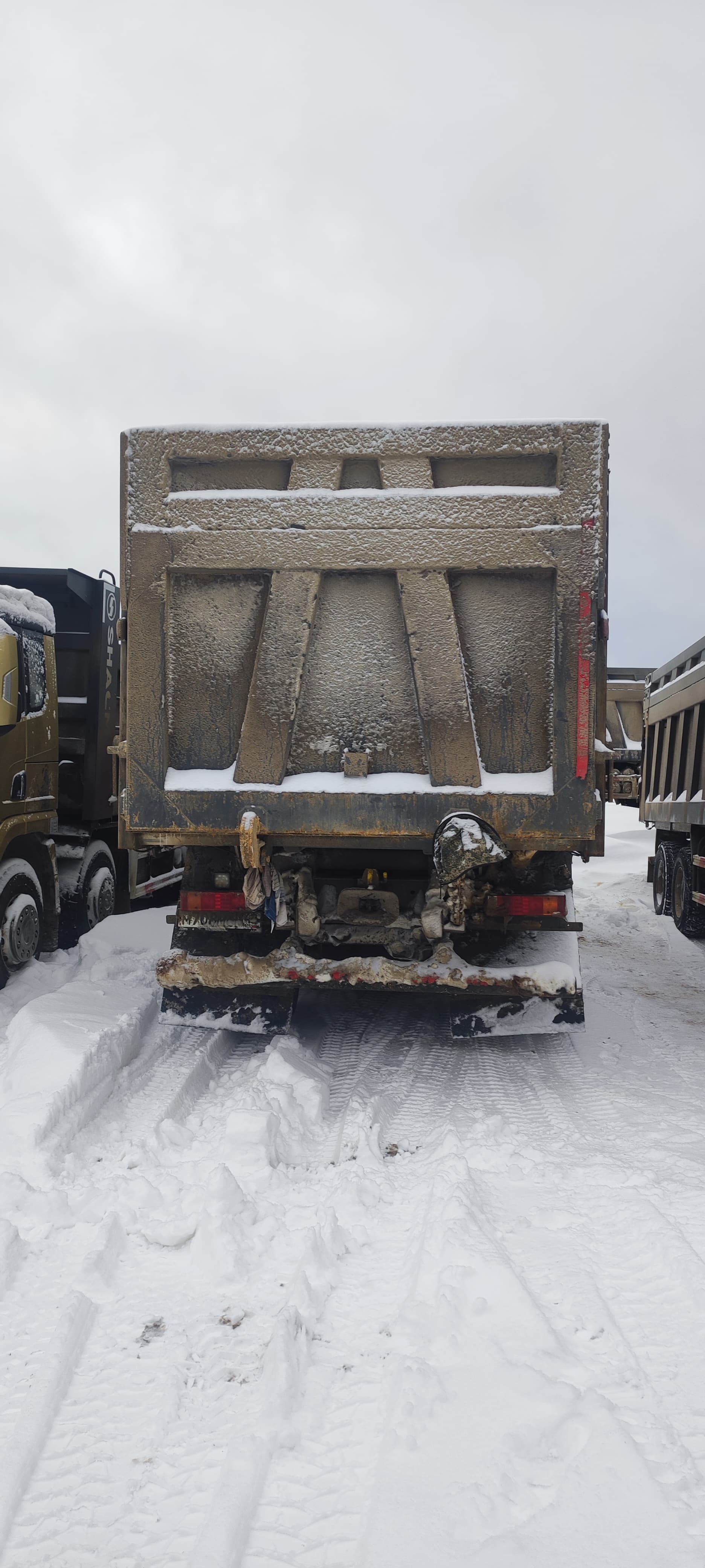 Shacman (Shaanxi) SX* 8x4 Самосвал 2023 г. - фото 4