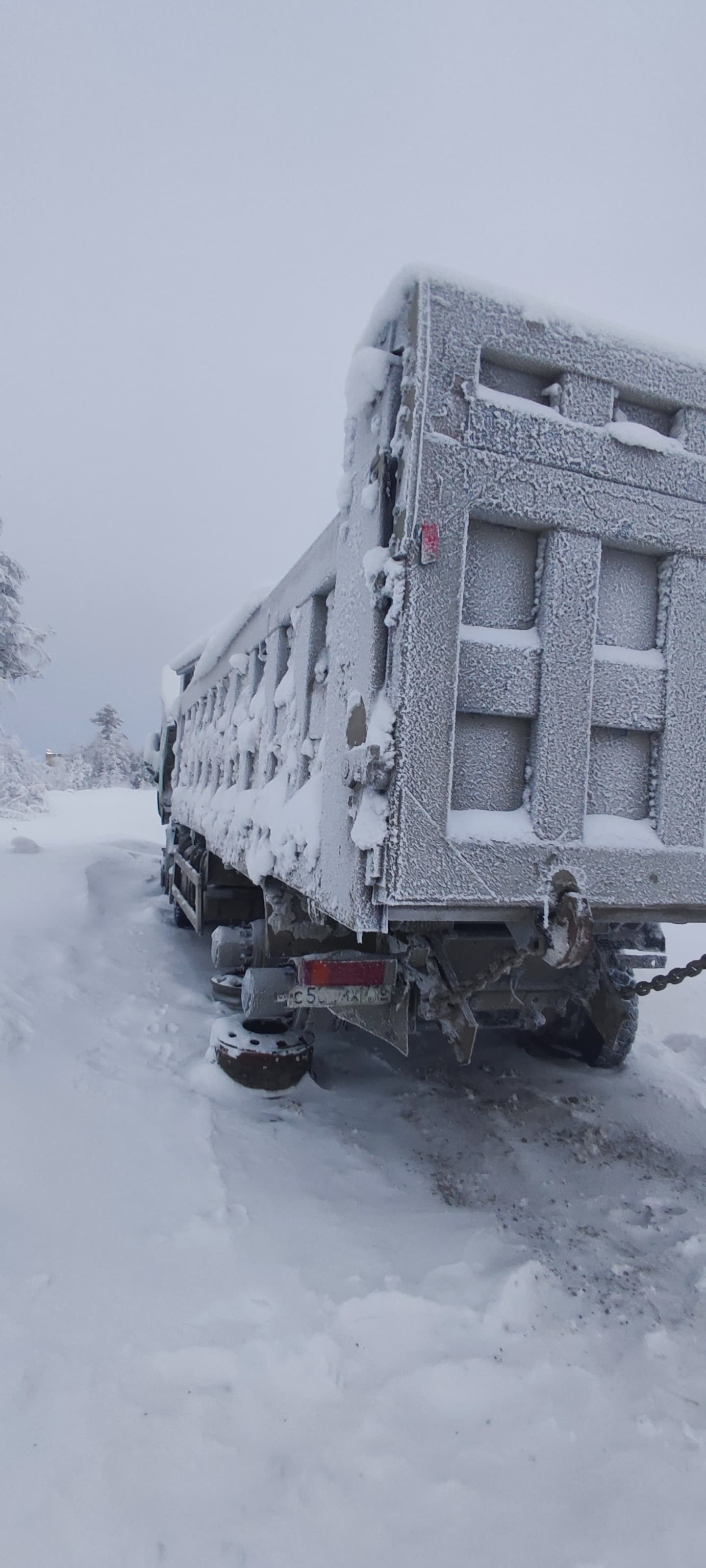 Shacman (Shaanxi) SX* 8x4 Самосвал 2022 г. - фото 4