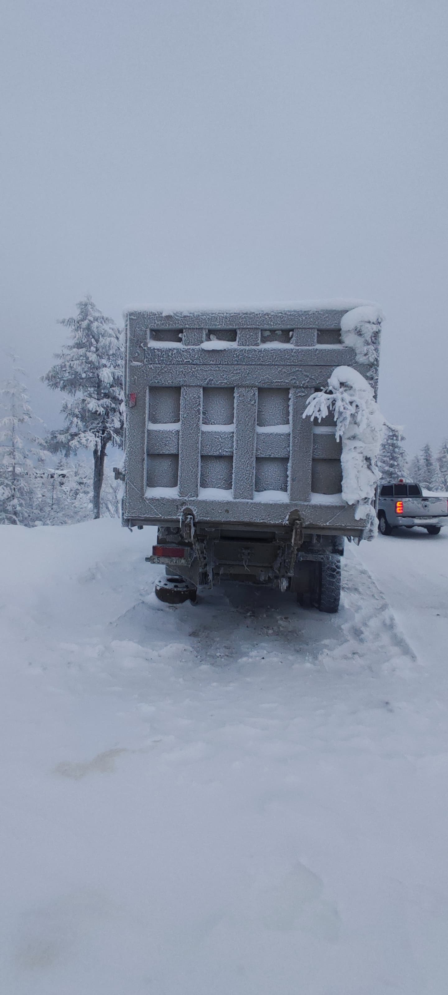 Shacman (Shaanxi) SX* 8x4 Самосвал 2022 г. - фото 6