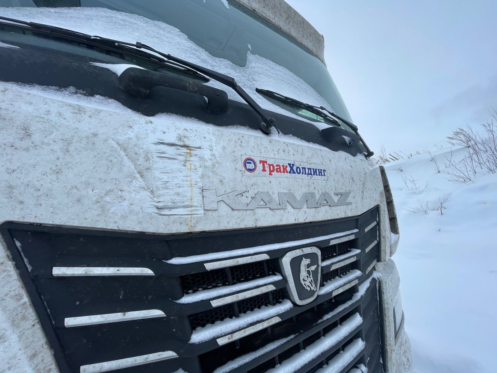 КамАЗ 54901 4x2 Седельный тягач 2023 г. - фото 8