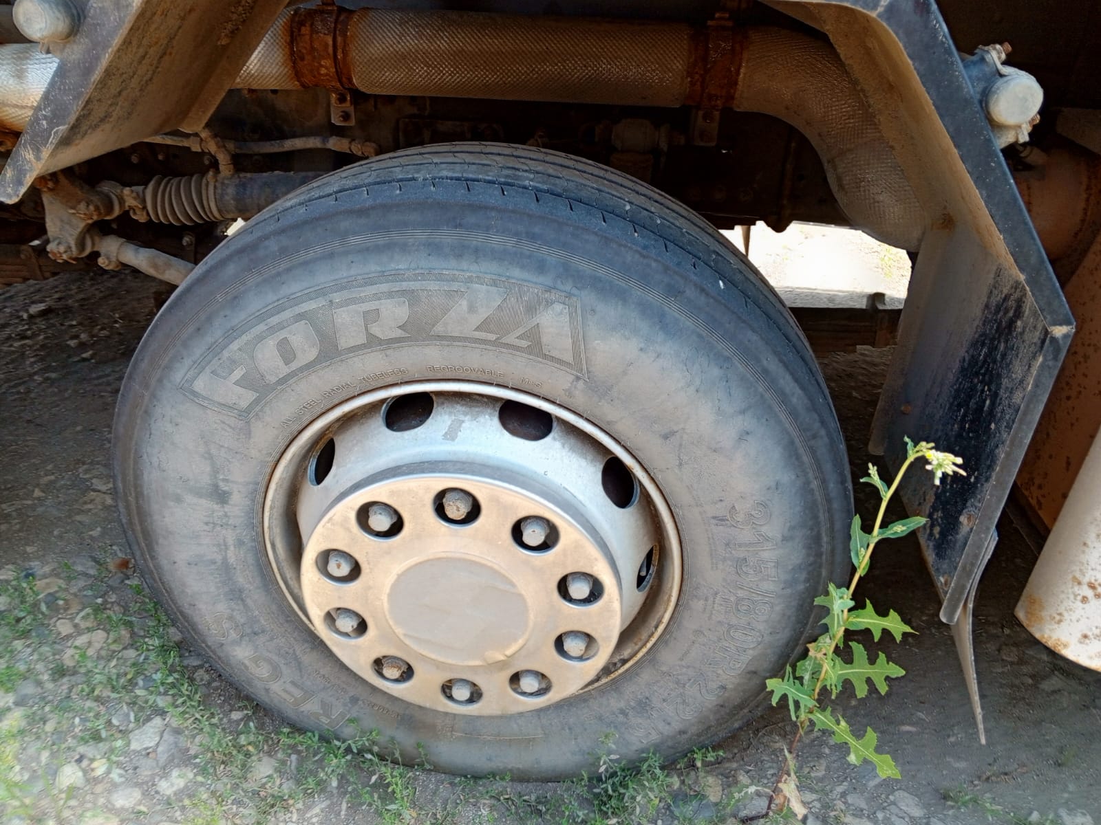 Shacman (Shaanxi) SX* 8x4 Самосвал 2023 г. - фото 8