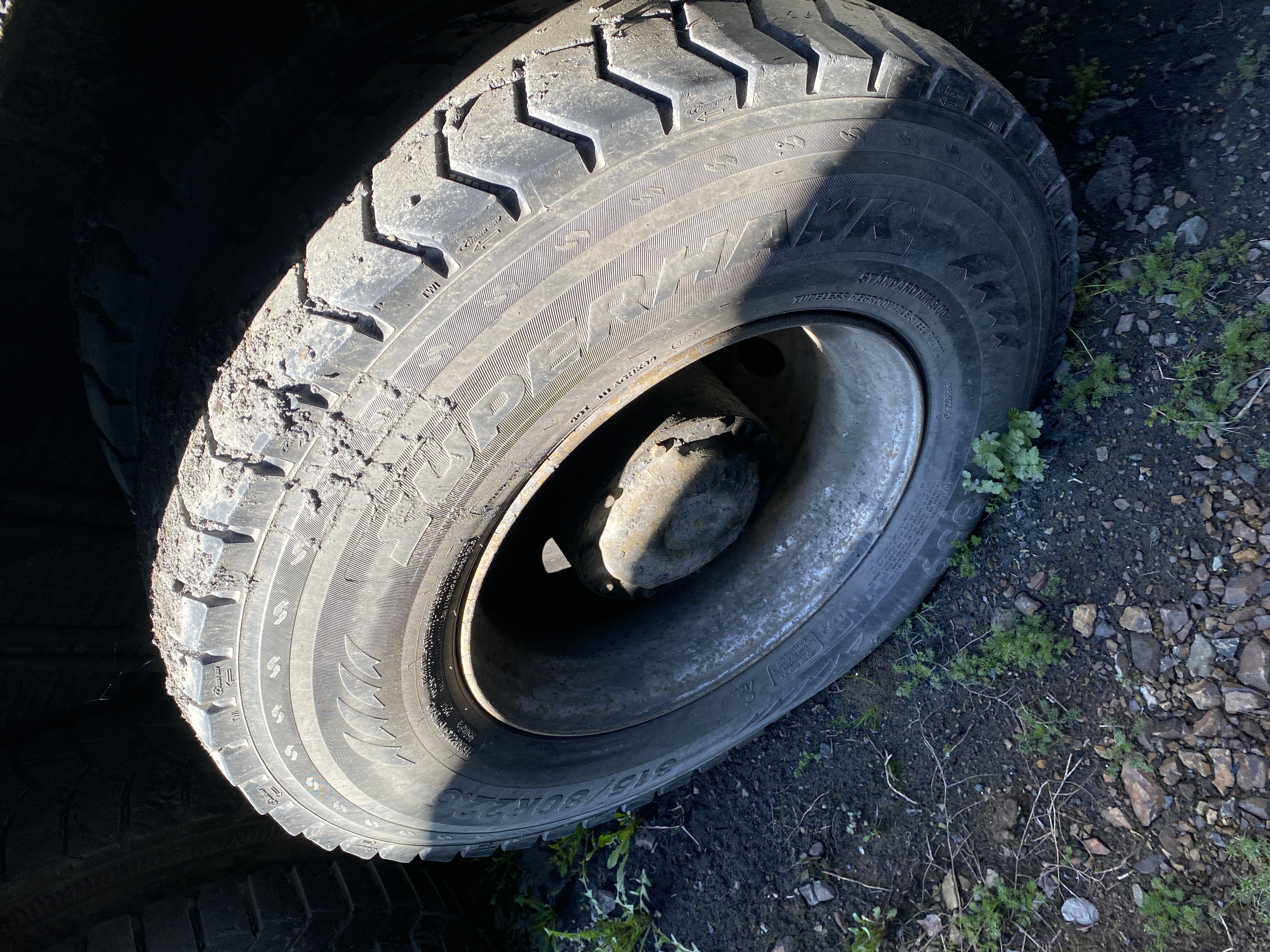 Shacman (Shaanxi) SX* 8x4 Самосвал 2023 г. - фото 12