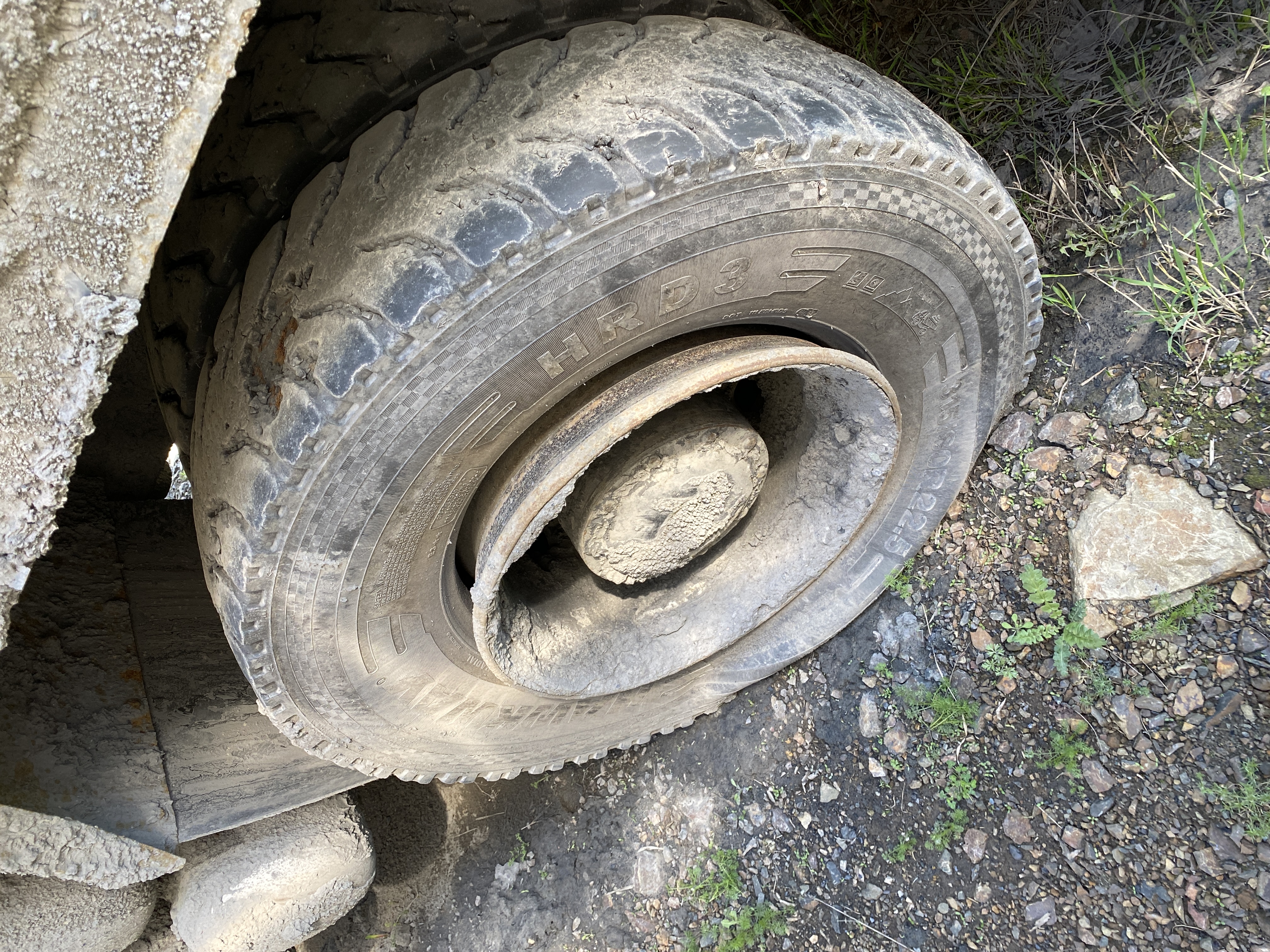 Shacman (Shaanxi) SX* 8x4 Самосвал 2023 г. - фото 16