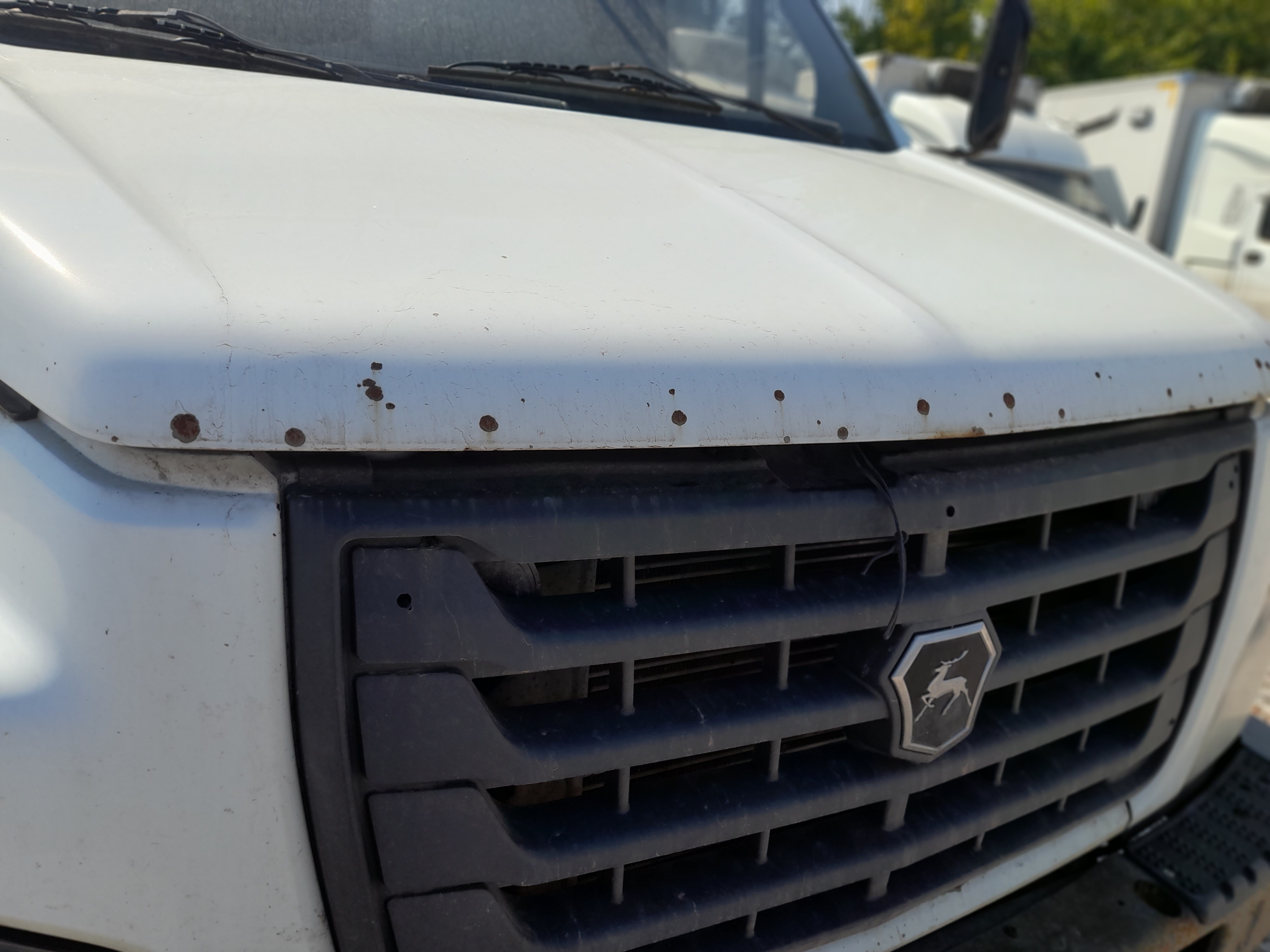 Луидор-Тюнинг 3010* на шасси GAZ GAZON NEXT Изотермический/рефрижератор_не актуально 2019 г. - фото 3