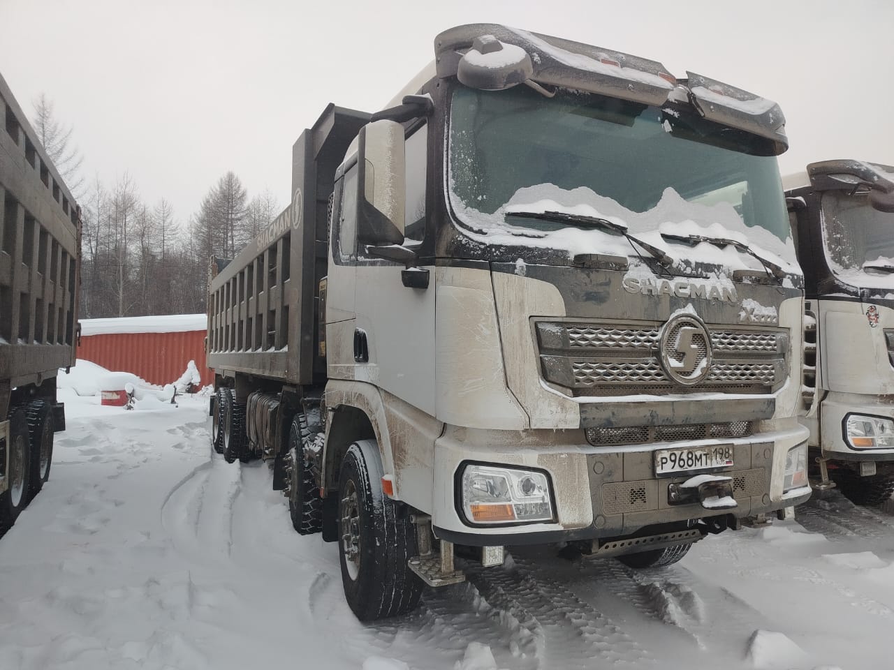 Shacman (Shaanxi) SX* 8x4 Самосвал 2022 г. - фото 3