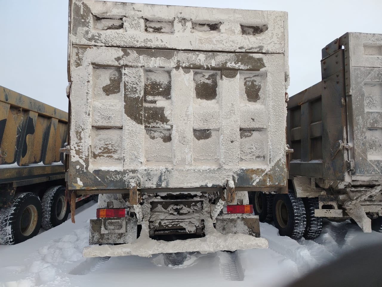 Shacman (Shaanxi) SX* 8x4 Самосвал 2022 г. - фото 5