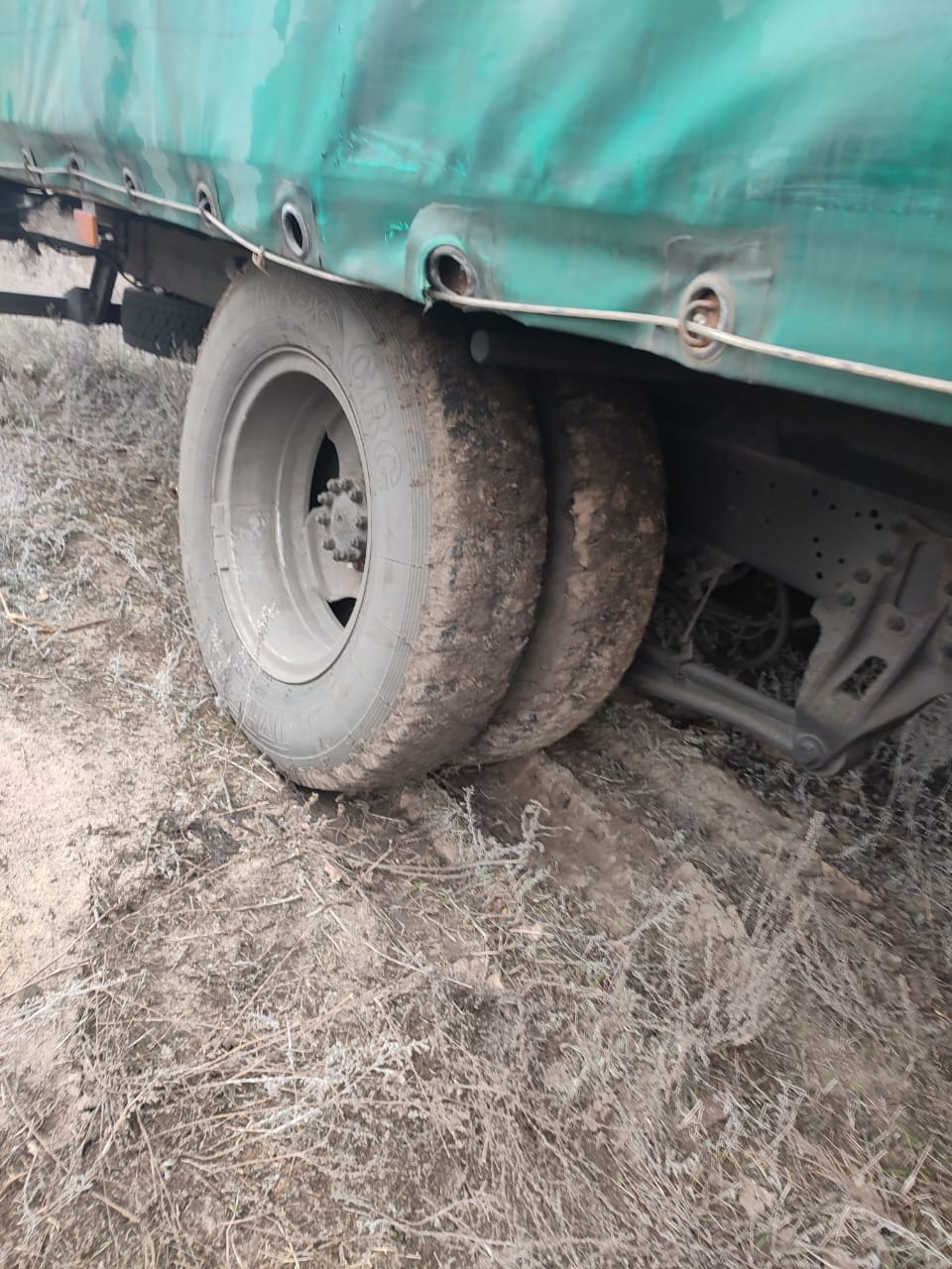 Новый завод 3010* на шасси GAZ GAZON NEXT Бортовой (Евроборт)_не актуально 2021 г. - фото 11