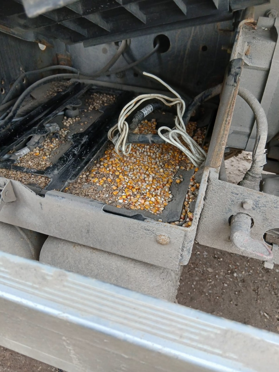 Автомастер 5589* на шасси FAW CA 3250 6x4 Зерновоз 2022 г. - фото 10