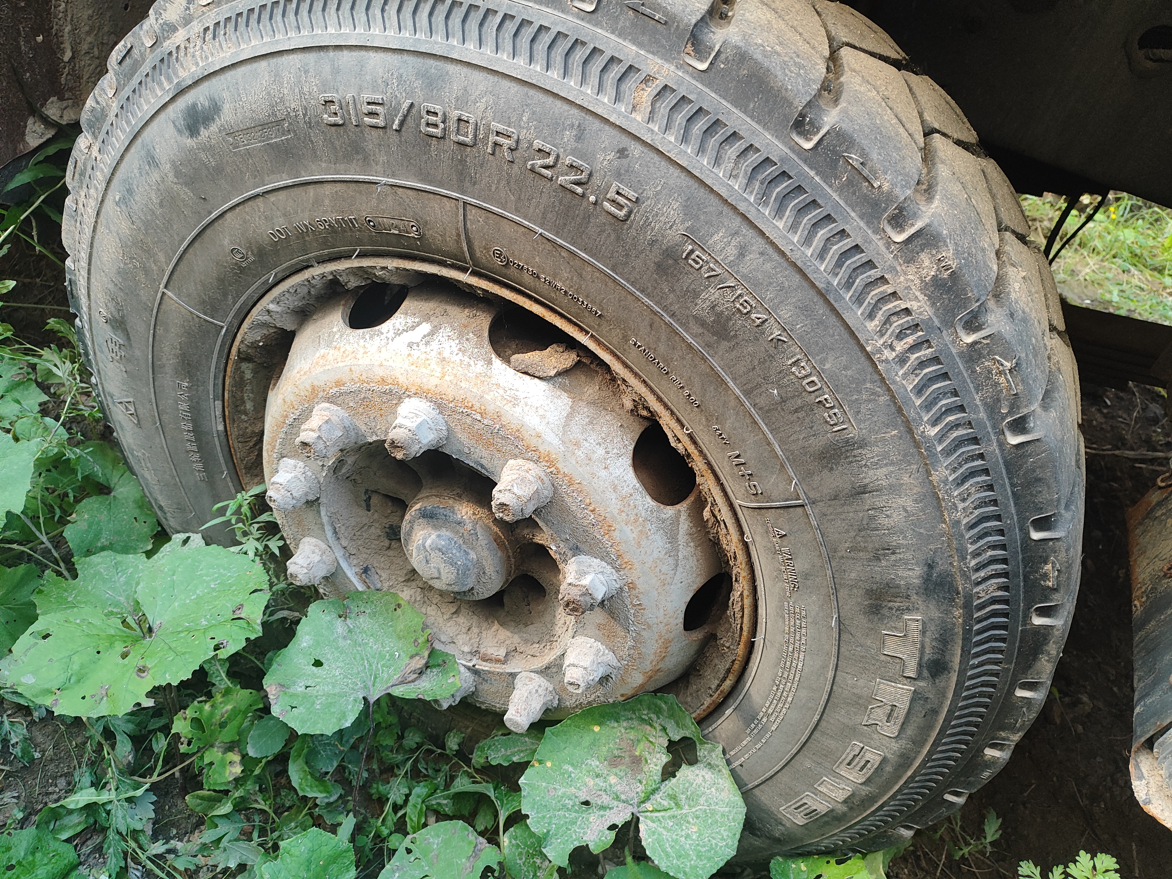 Shacman (Shaanxi) SX* 8x4 Самосвал 2023 г. - фото 6