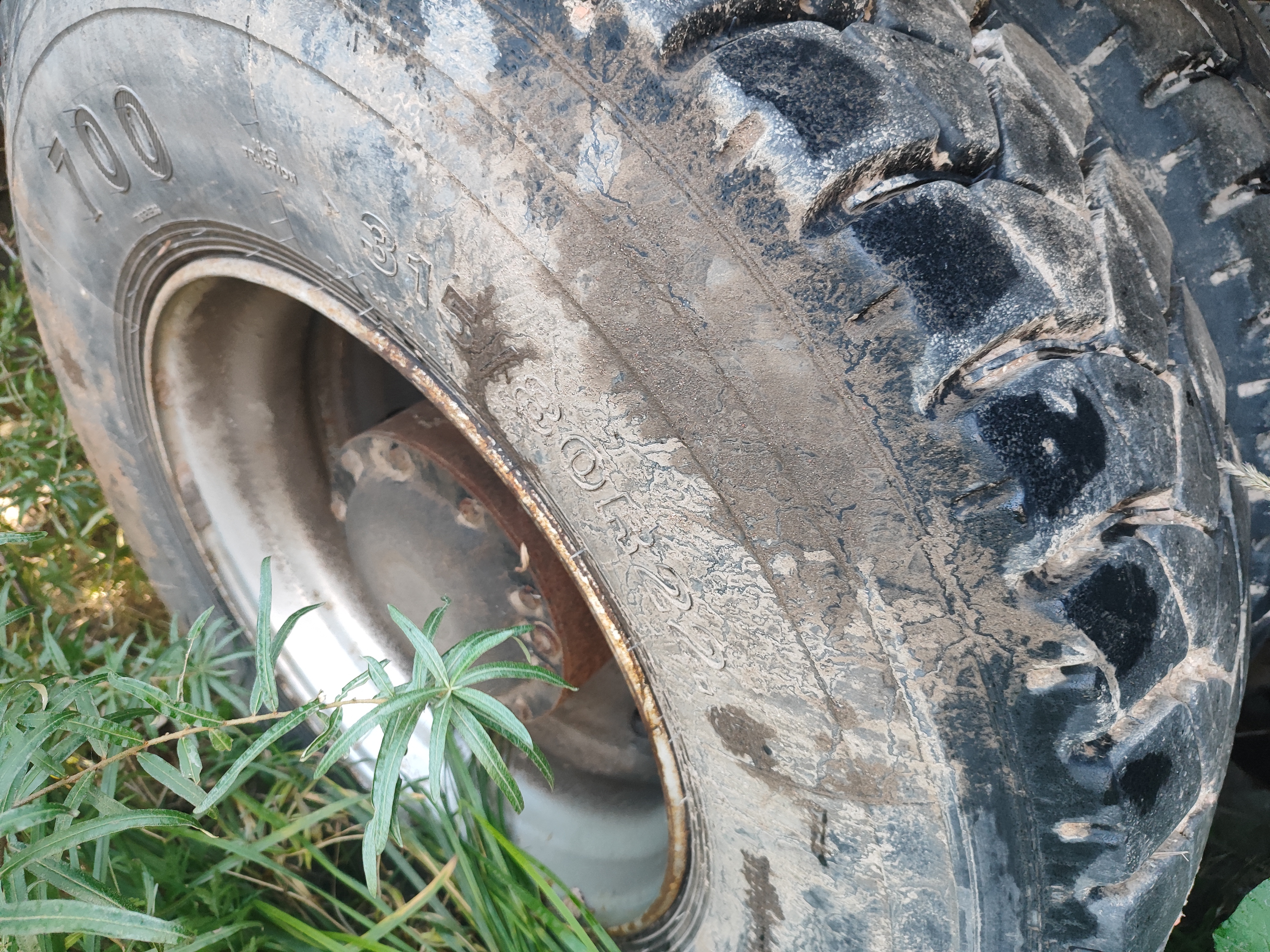 Shacman (Shaanxi) SX* 8x4 Самосвал 2023 г. - фото 10