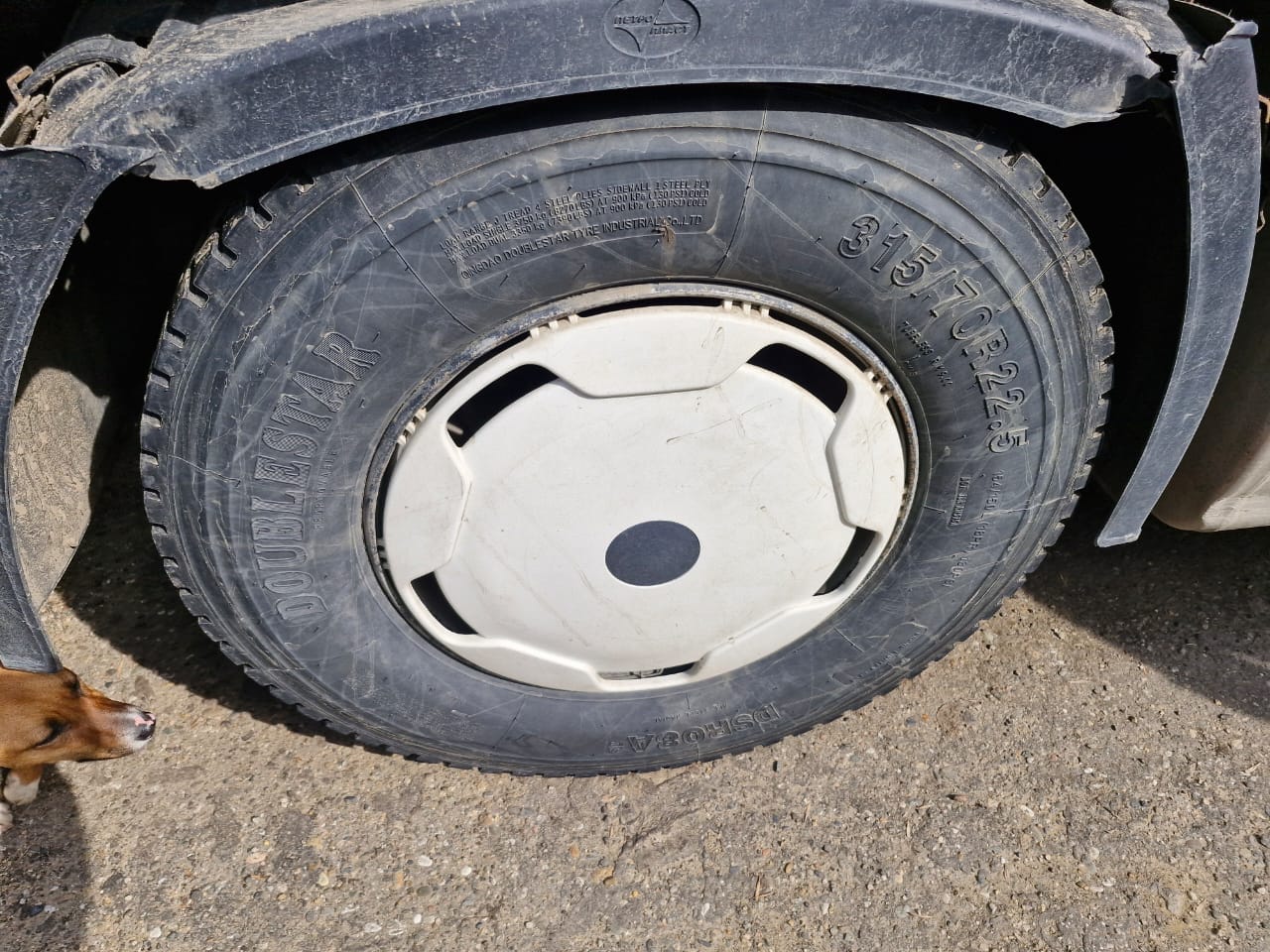 КамАЗ 5490 4x2 Седельный тягач 2018 г. - фото 13