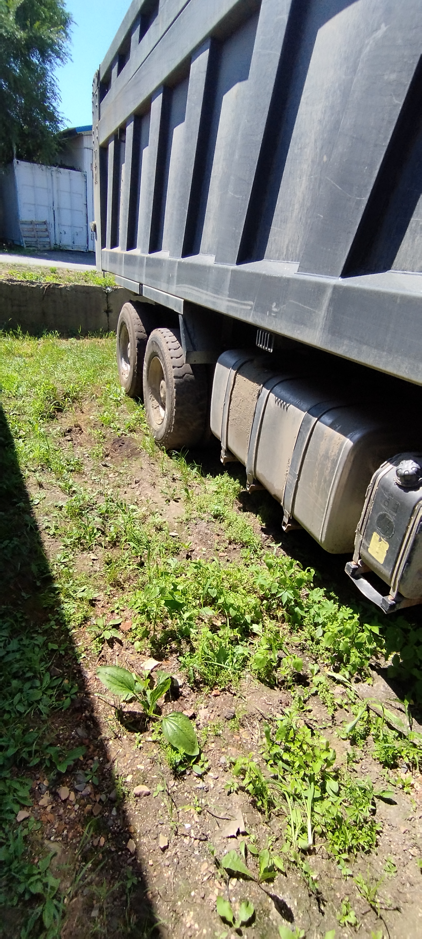 Shacman (Shaanxi) SX* 8x4 Самосвал 2024 г. - фото 3