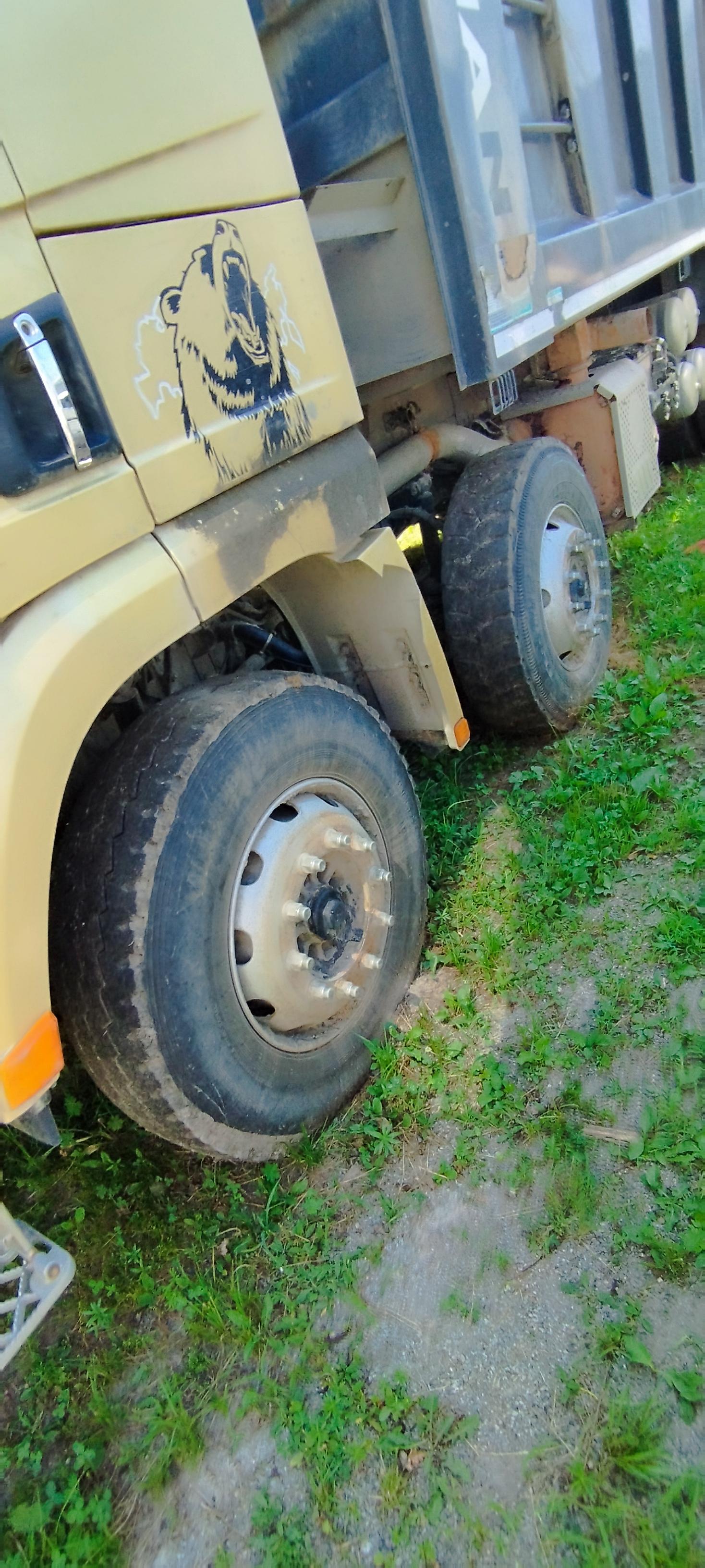 Shacman (Shaanxi) SX* 8x4 Самосвал 2024 г. - фото 8