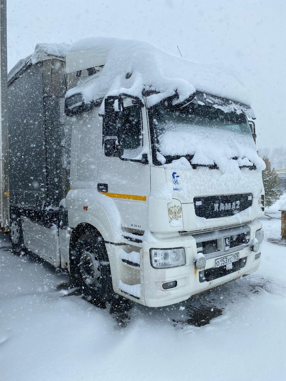 КамАЗ 5490 4x2 Седельный тягач 2020 г. - фото 3