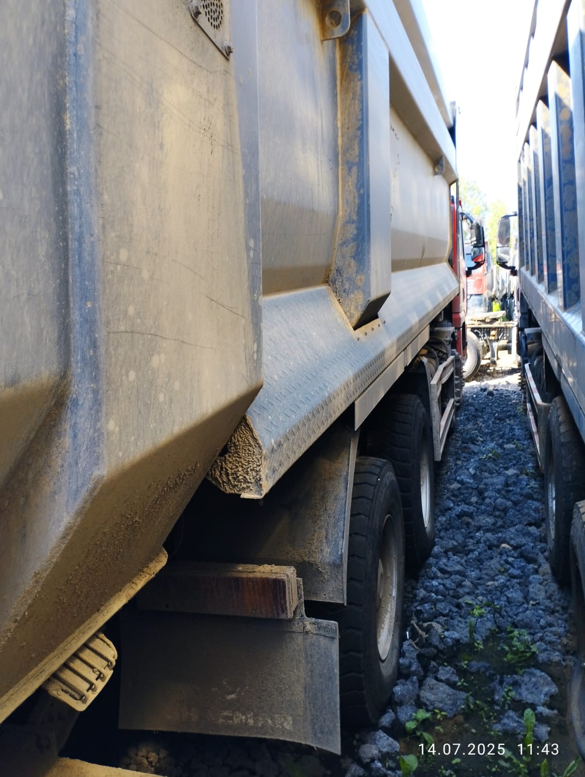 Shacman (Shaanxi) SX* 8x4 Самосвал 2023 г. - фото 18