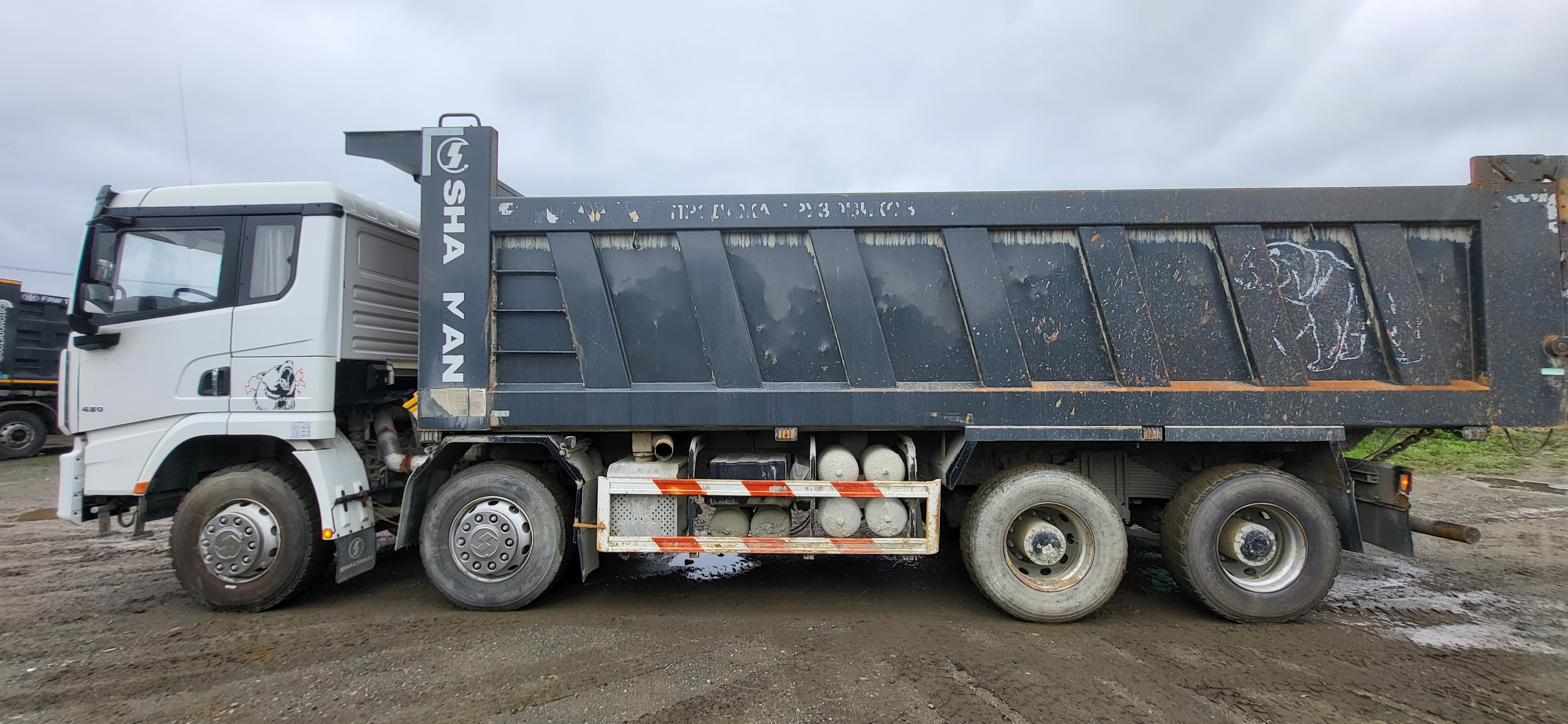 Shacman (Shaanxi) SX* 8x4 Самосвал 2024 г. - фото 4