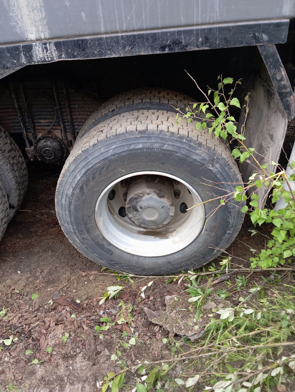 Shacman (Shaanxi) SX* 8x4 Самосвал 2022 г. - фото 19