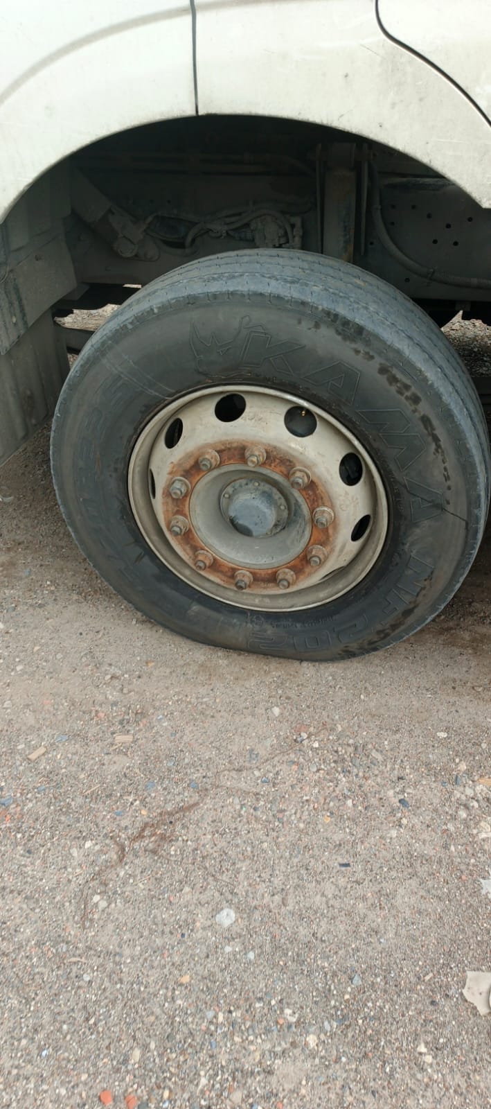 КамАЗ 5490 4x2 Седельный тягач 2020 г. - фото 15