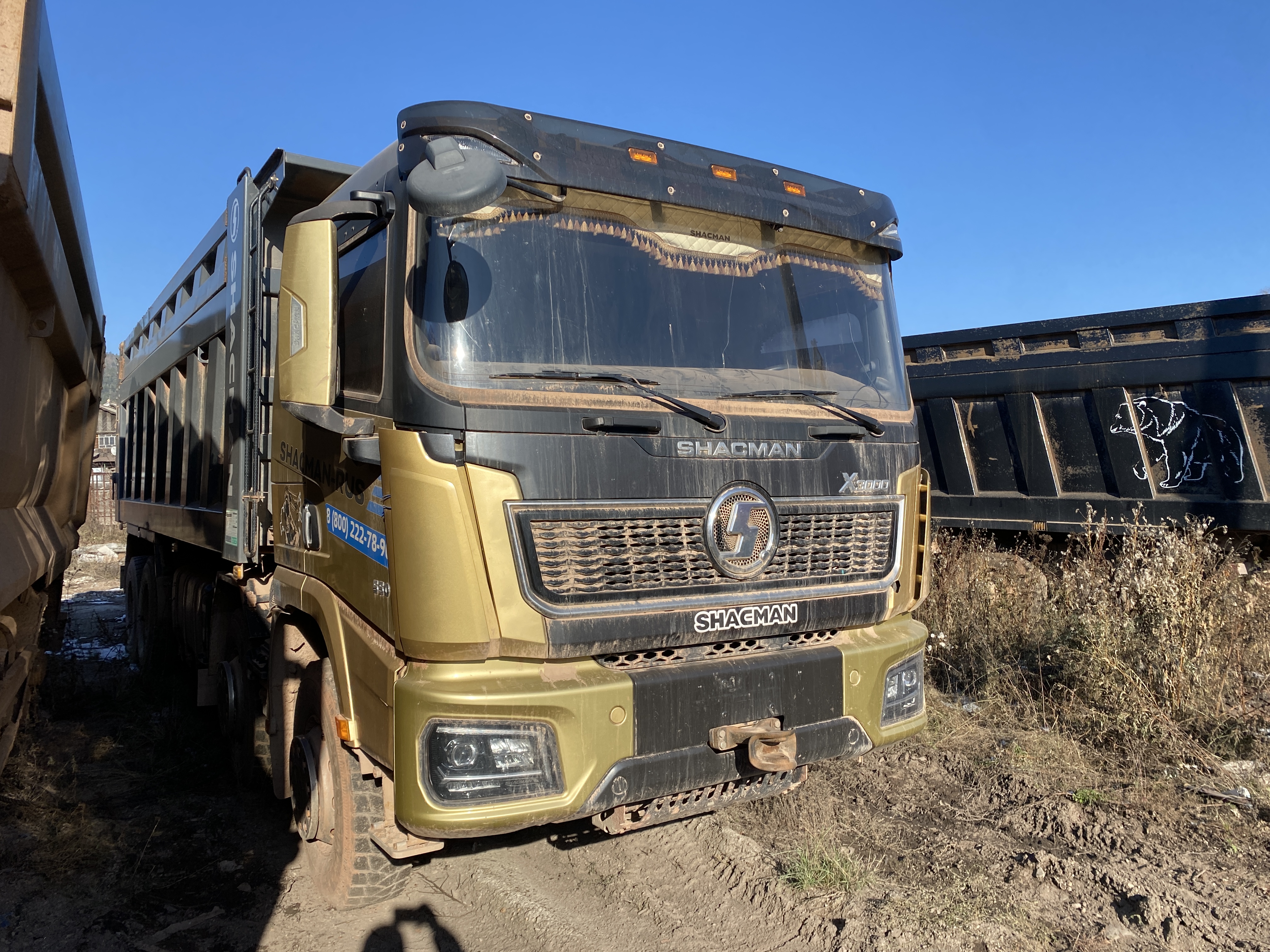Shacman (Shaanxi) SX* 8x4 Самосвал 2024 г. - фото 2