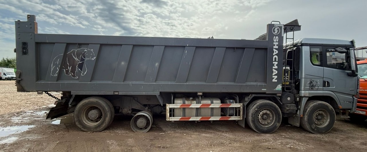 Shacman (Shaanxi) SX* 8x4 Самосвал 2024 г. - фото 4