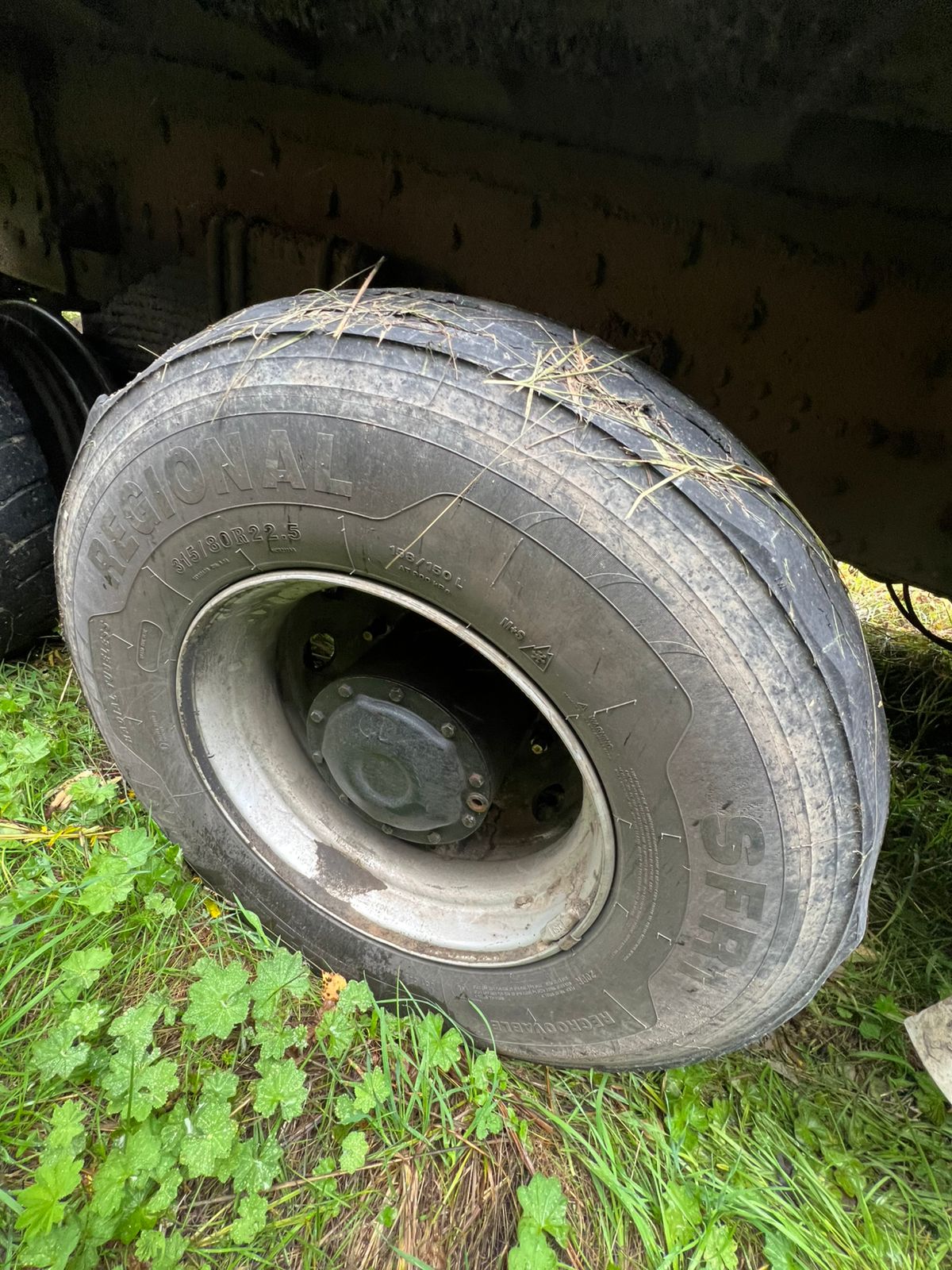 Shacman (Shaanxi) SX* 8x4 Самосвал 2024 г. - фото 12