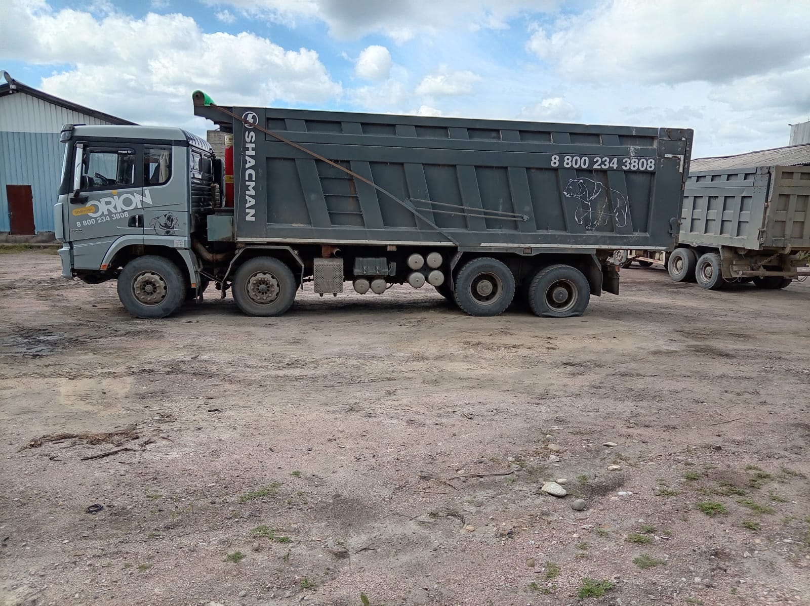Shacman (Shaanxi) SX* 8x4 Самосвал 2023 г. - фото 4