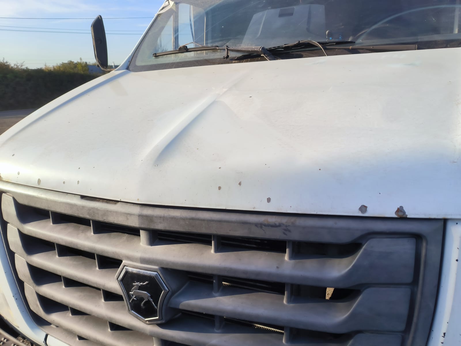 Луидор-Тюнинг 3010* на шасси GAZ GAZON NEXT Бортовой (Евроборт)_не актуально 2018 г. - фото 11