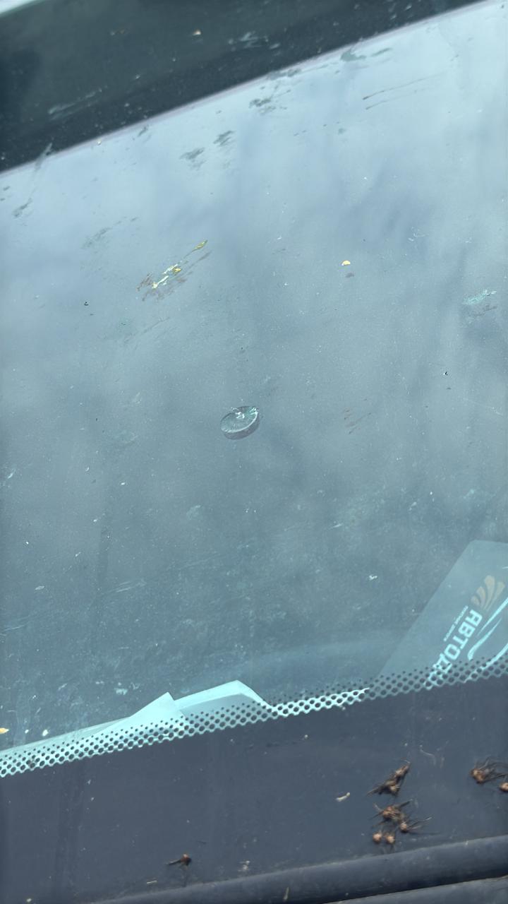 КамАЗ 5490 4x2 Седельный тягач 2018 г. - фото 17