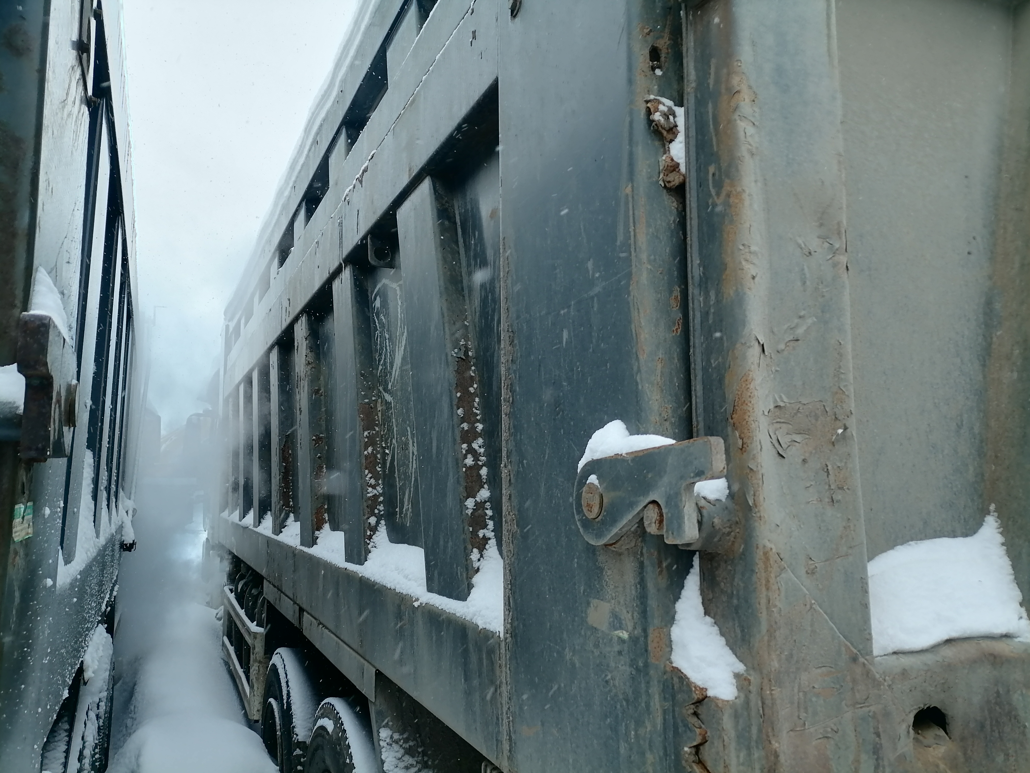 Shacman (Shaanxi) SX* 8x4 Самосвал 2024 г. - фото 5