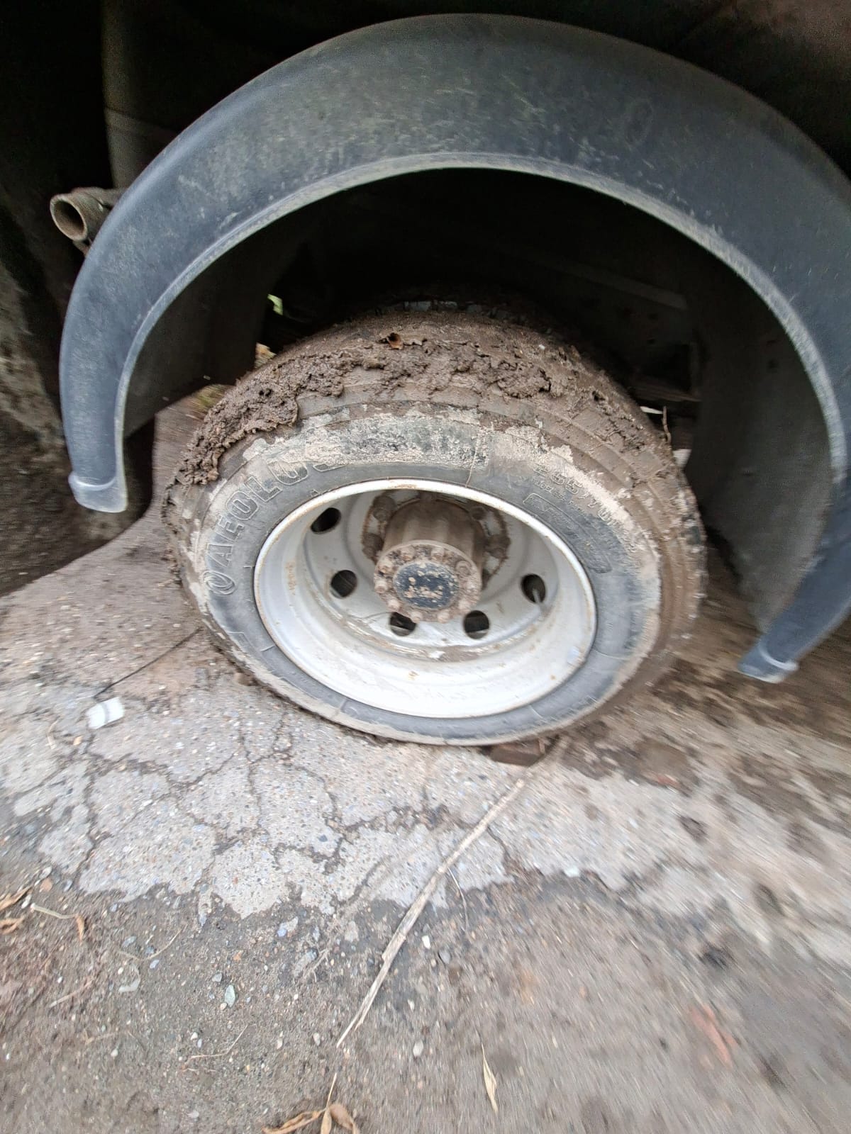 СПЕЦМОБИЛЬ-НН 2818* на шасси JAC N80 Изотермический/рефрижератор 2017 г. - фото 9