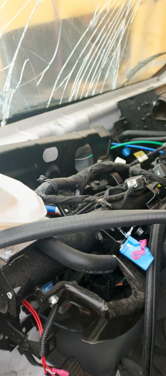 КамАЗ 43082 4x2 Изотермический/рефрижератор 2024 г. - фото 9