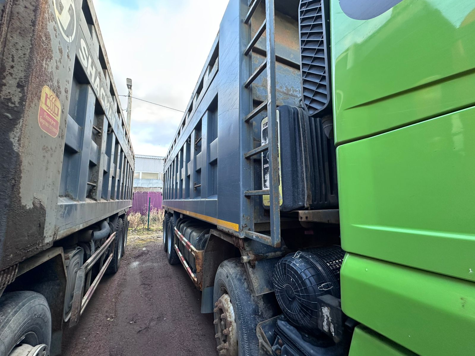 Shacman (Shaanxi) SX* 8x4 Самосвал 2022 г. - фото 4