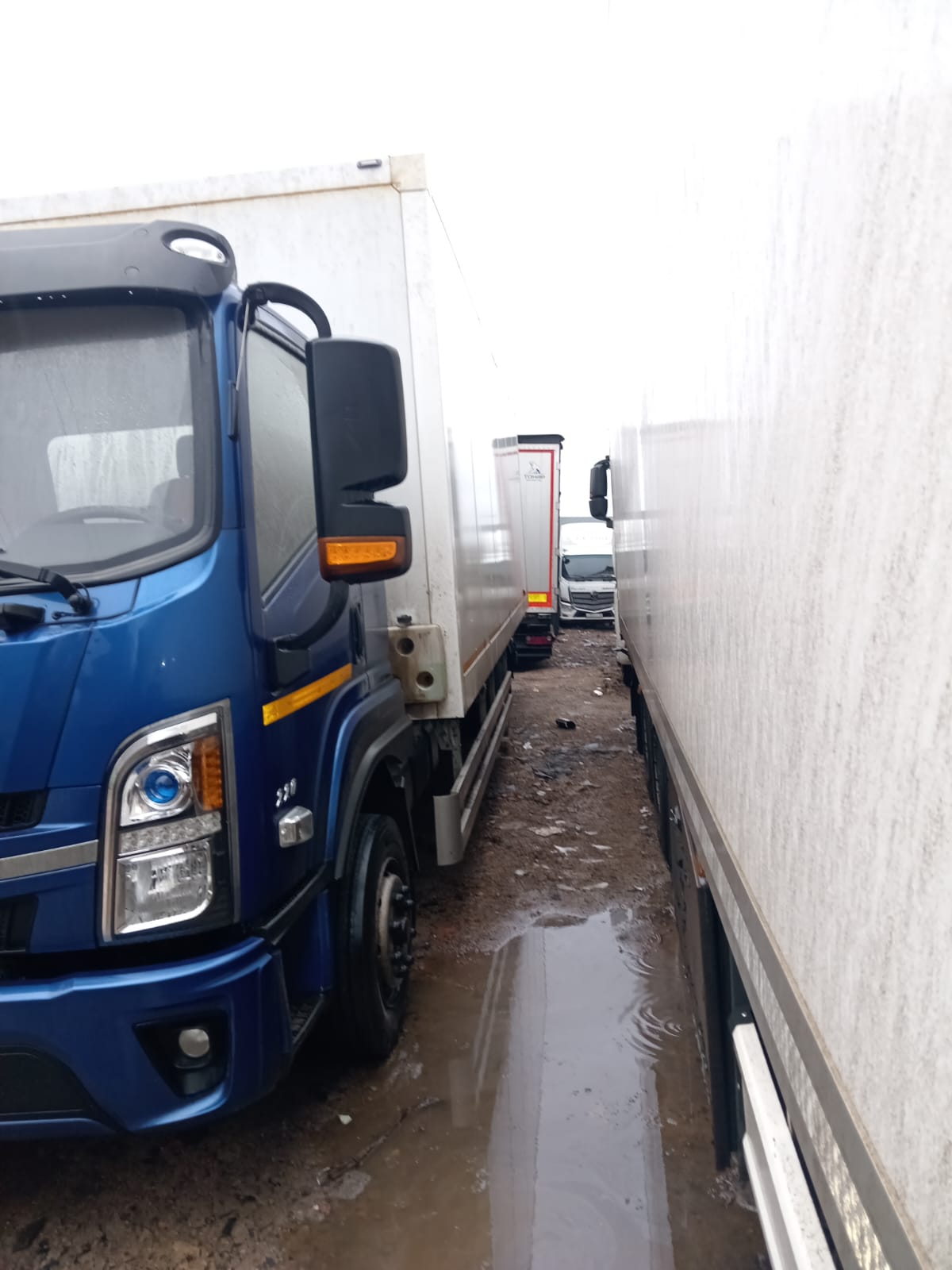 WANSHAN ALTAI Аrgut 4x2 Изотермический/рефрижератор 2024 г. - фото 2