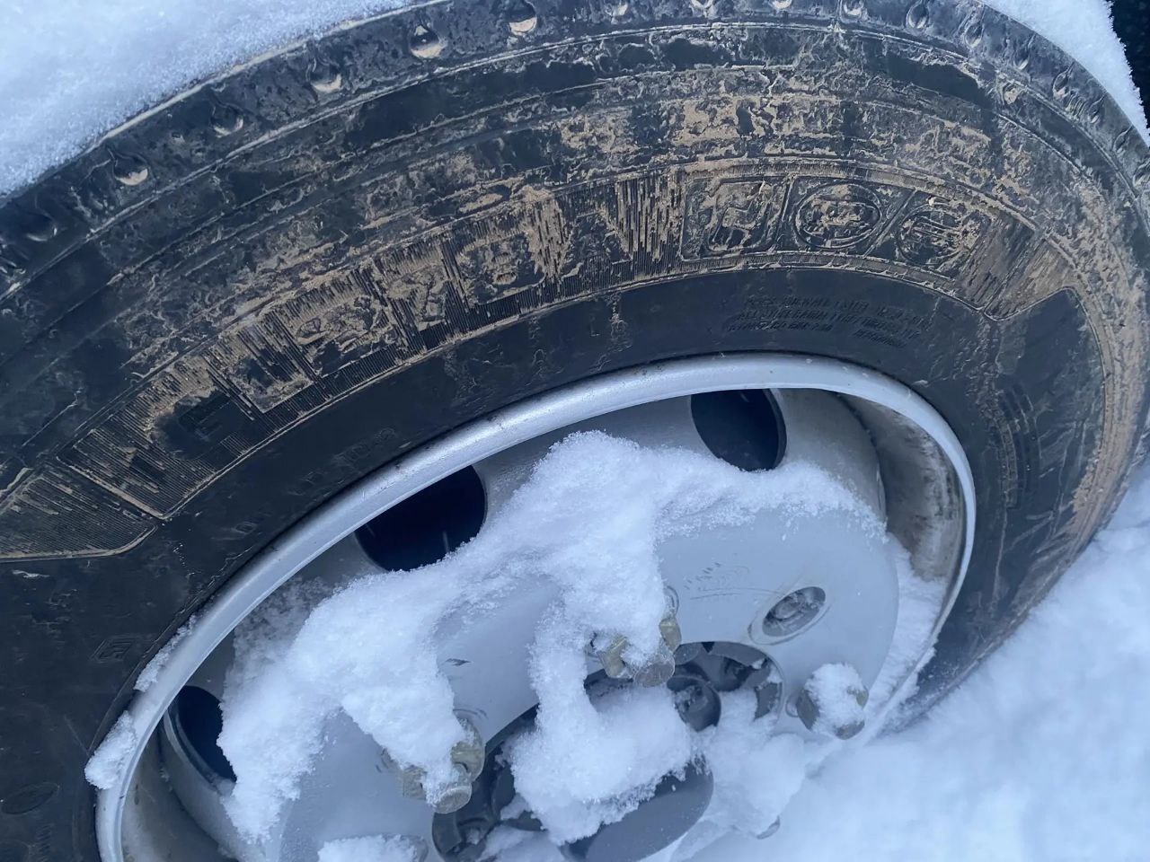 WANSHAN ALTAI Аrgut 4x2 Бортовой (Евроборт) 2024 г. - фото 10