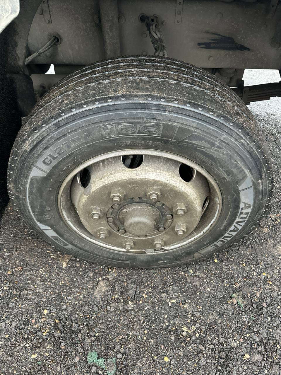 WANSHAN ALTAI Аrgut 4x2 Бортовой (Евроборт) 2024 г. - фото 14