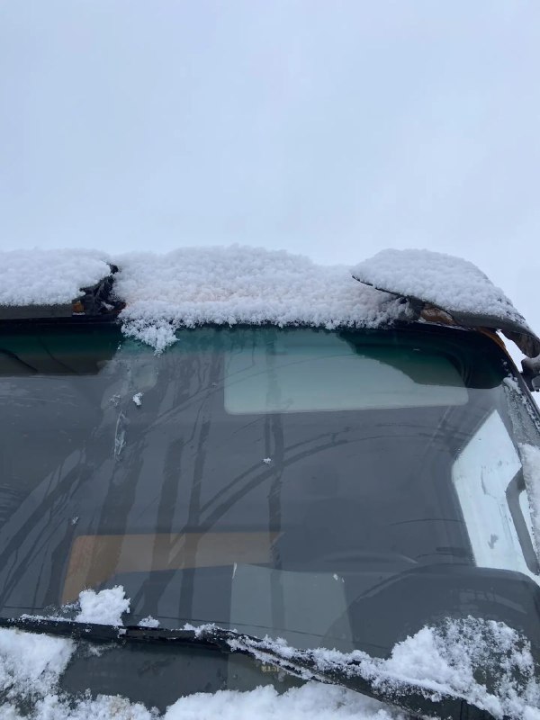 WANSHAN ALTAI Multa 4x2 Бортовой (Евроборт) 2024 г. - фото 12