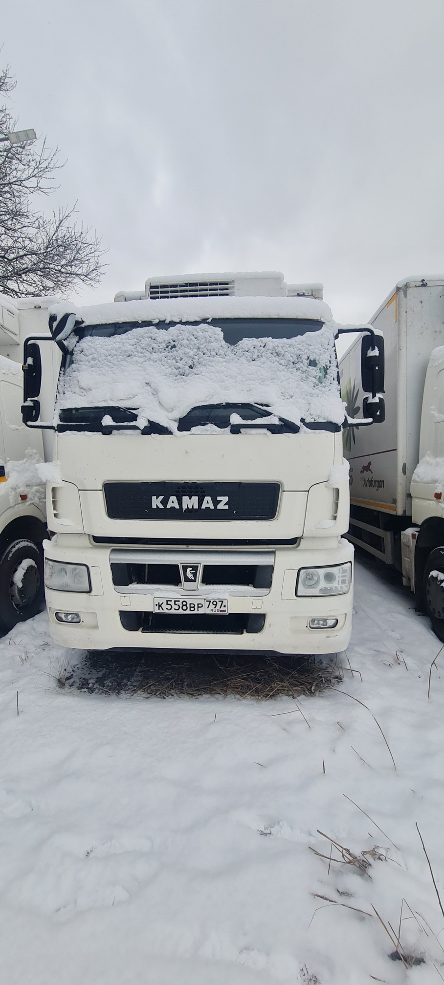 Рефрижератор на ш.КАМАЗ 5325 2022 г.