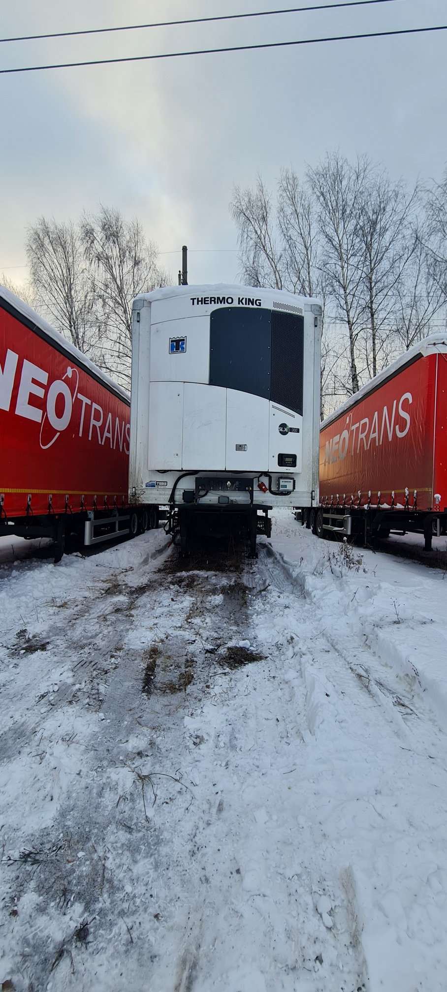 Полуприцеп рефрижератор СТТМ СARGOLINE 972200 2022 г.