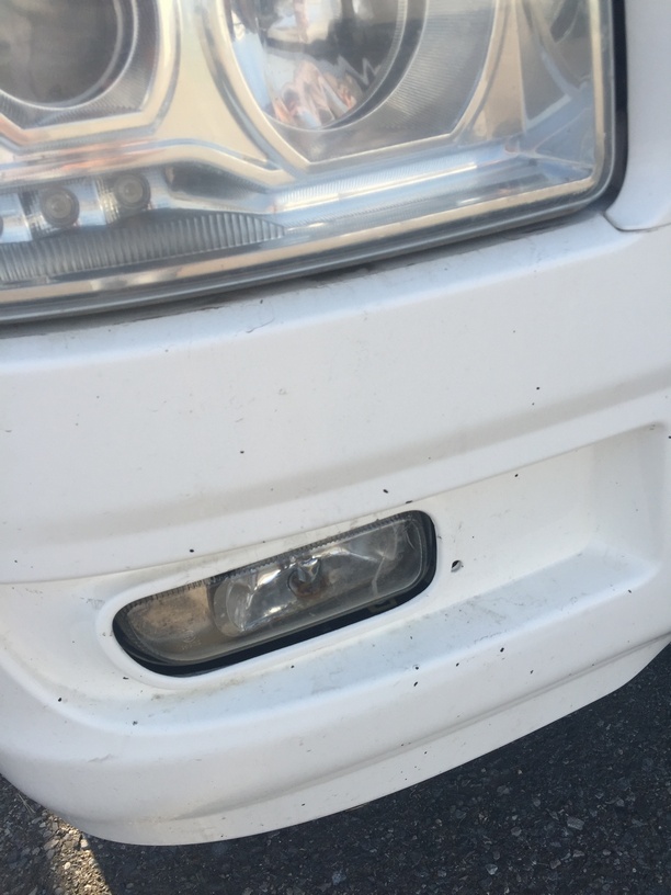 Седельный тягач КАМАЗ 5490-892-87 (S5) (газодизель) 2019 г. - фото 7