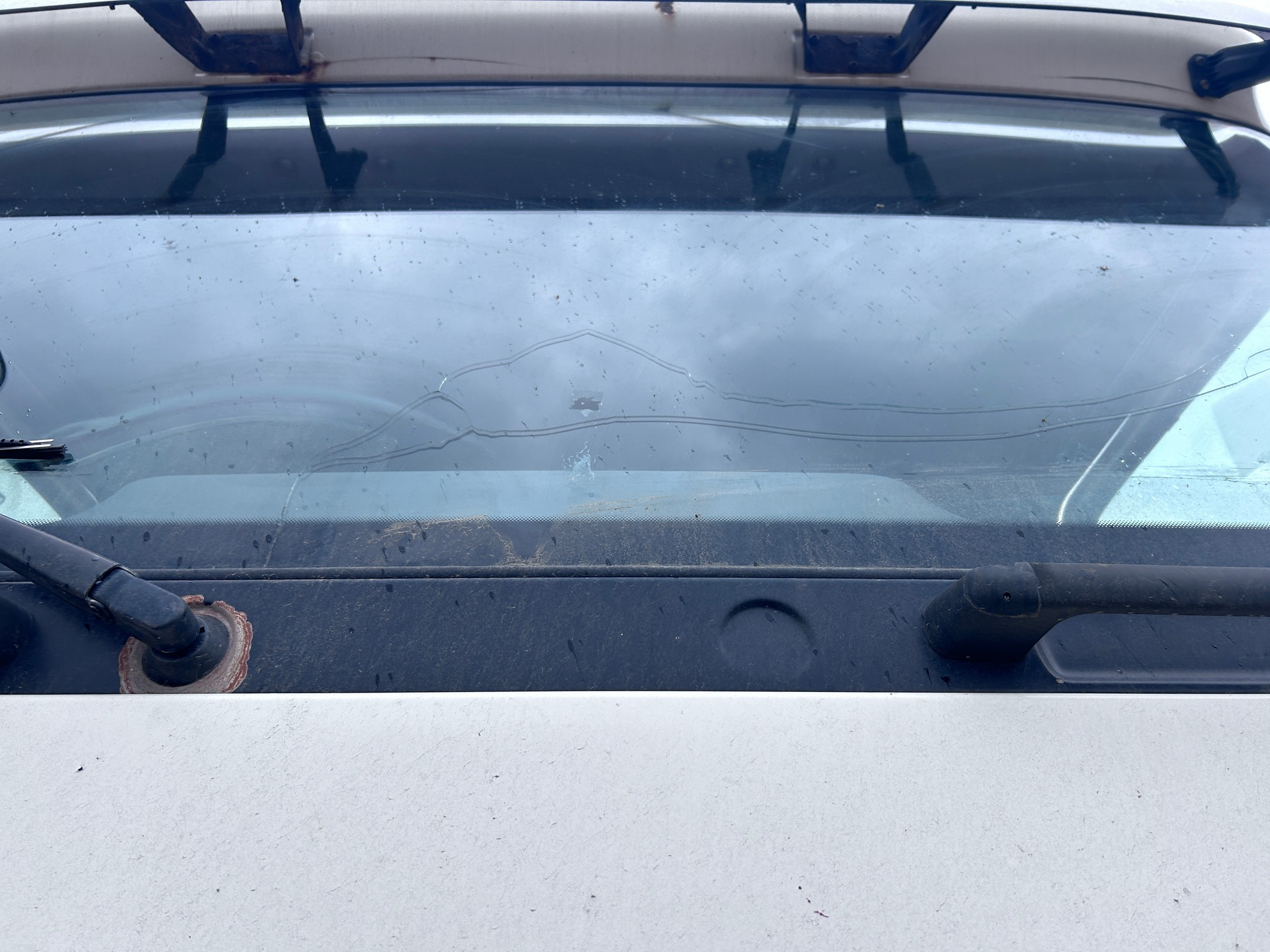 Седельный тягач КАМАЗ 5490-022-87 (S5) 2019 г. - фото 12