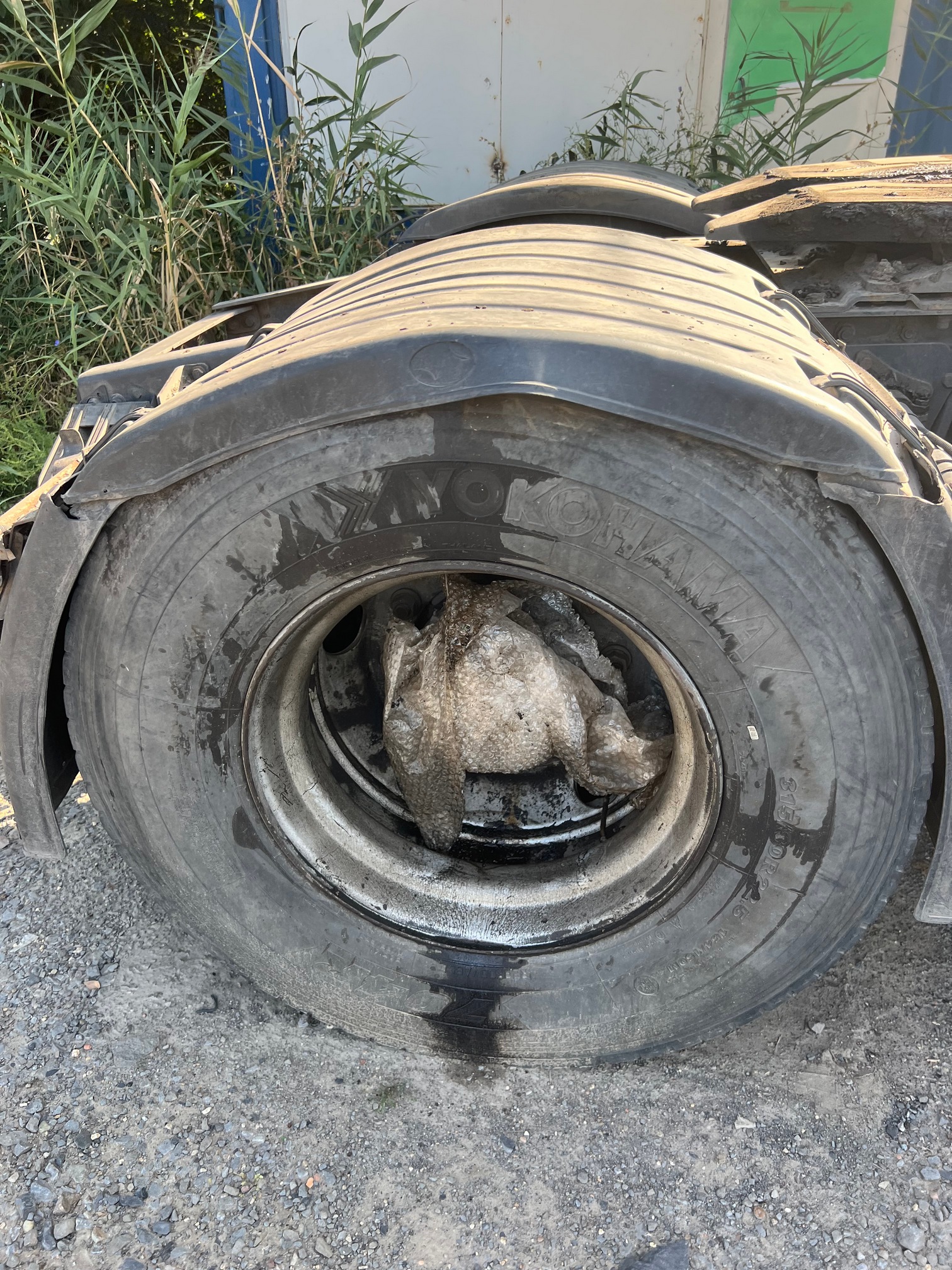 Седельный тягач КАМАЗ 5490-022-87 (S5) 2020 г. - фото 10