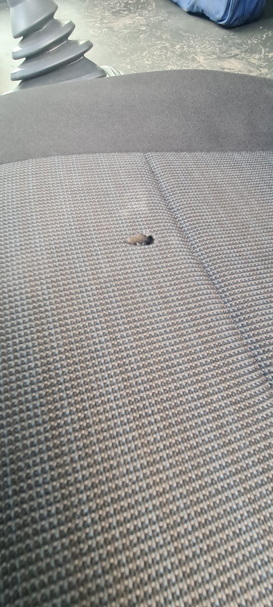 Седельный тягач КАМАЗ 5490-80802-90(5P) (СПГ) 2021 г. - фото 32