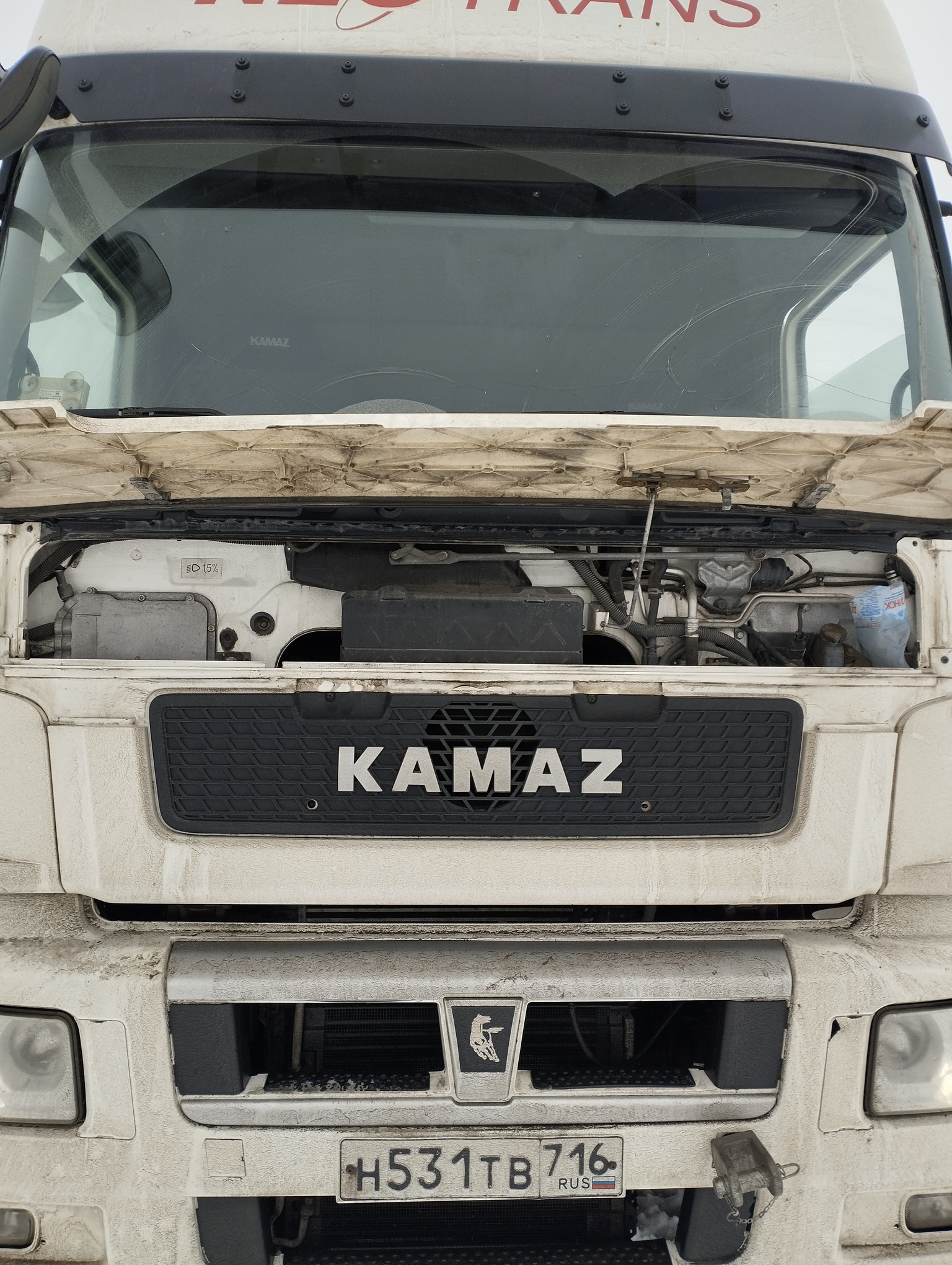 Седельный тягач КАМАЗ 5490-801-DC (газодизель) 2021 г. - фото 2